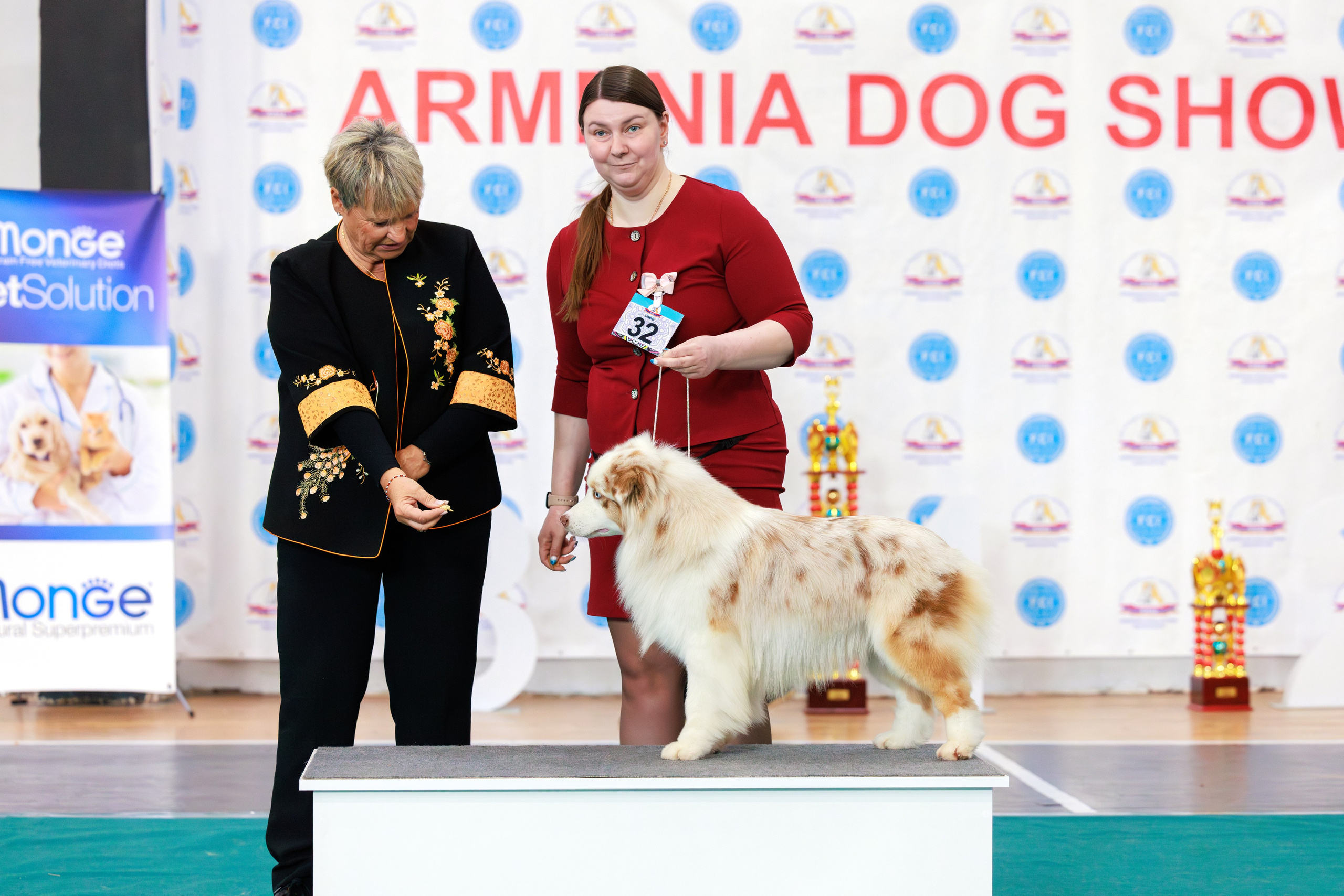 Ереван 2х CACIB 29-30.04.2025. Фотограф-анималист Юлия Германика