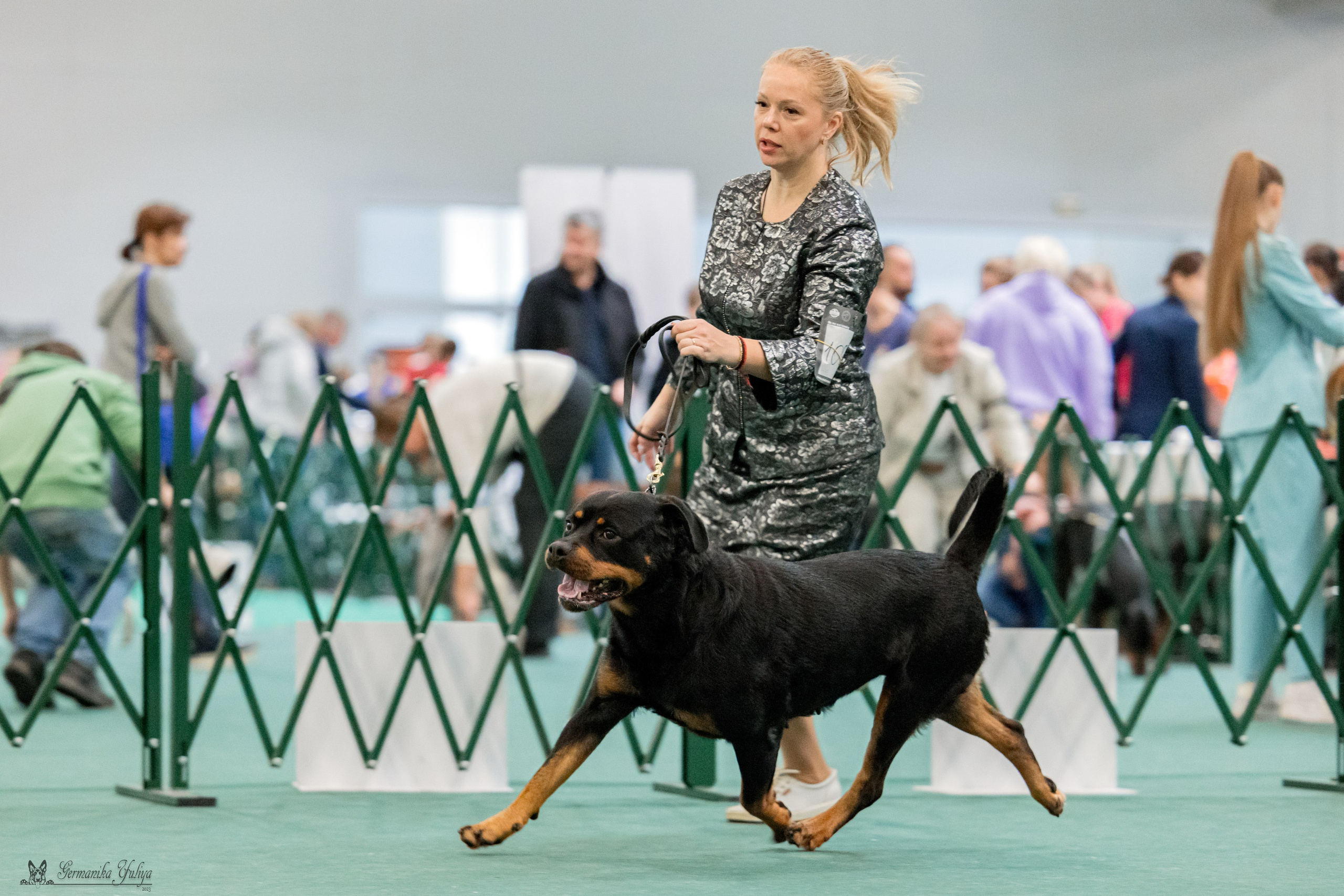 Сфера 29.10,Крокус 4.11,Сфера 12.11.2023. Фотограф-анималист Юлия Германика