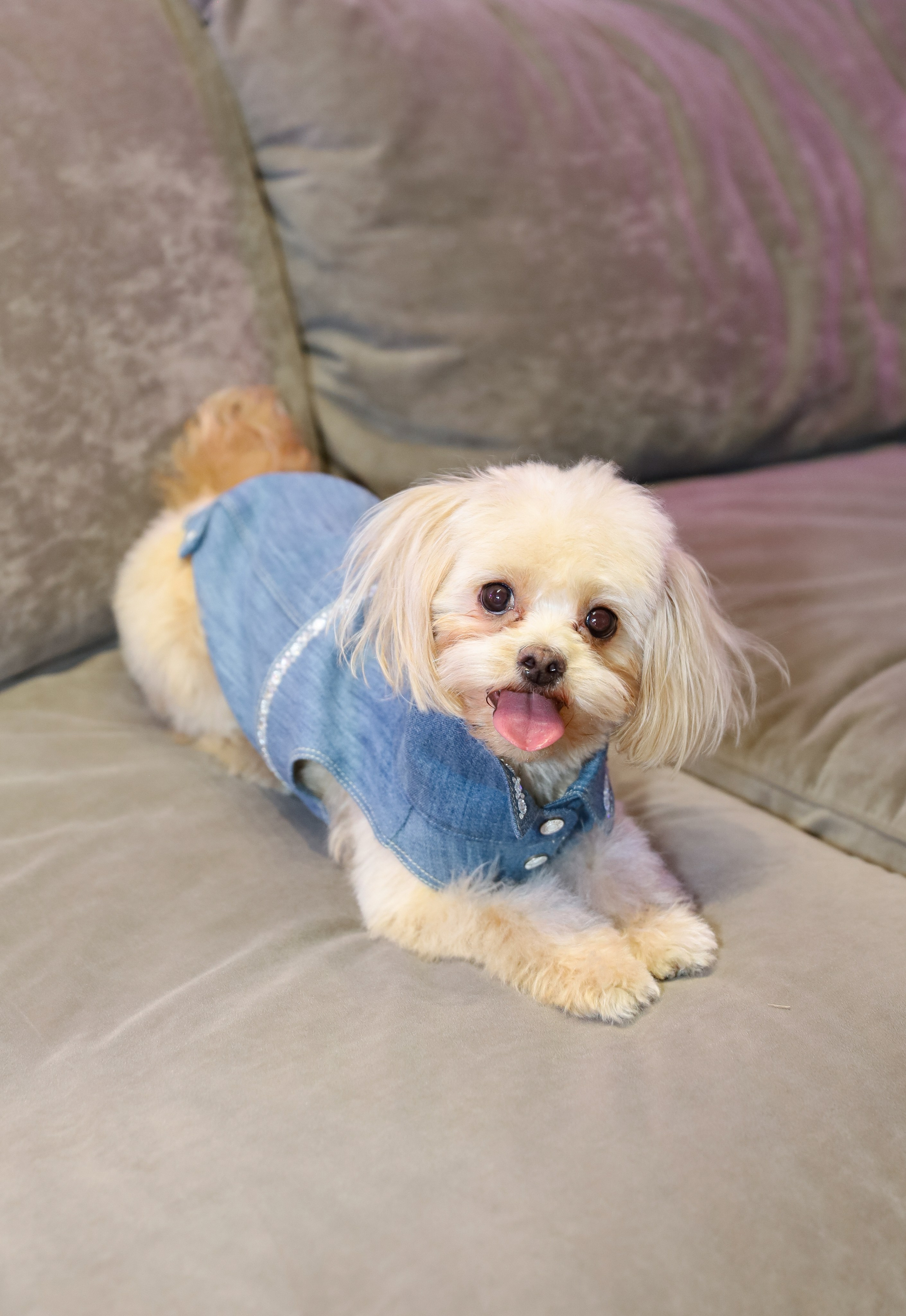 ДЕНЬ РОЖДЕНИЯ СОФИИ В UPLINE SPACE. Фотограф мероприятий Ирина Каширина