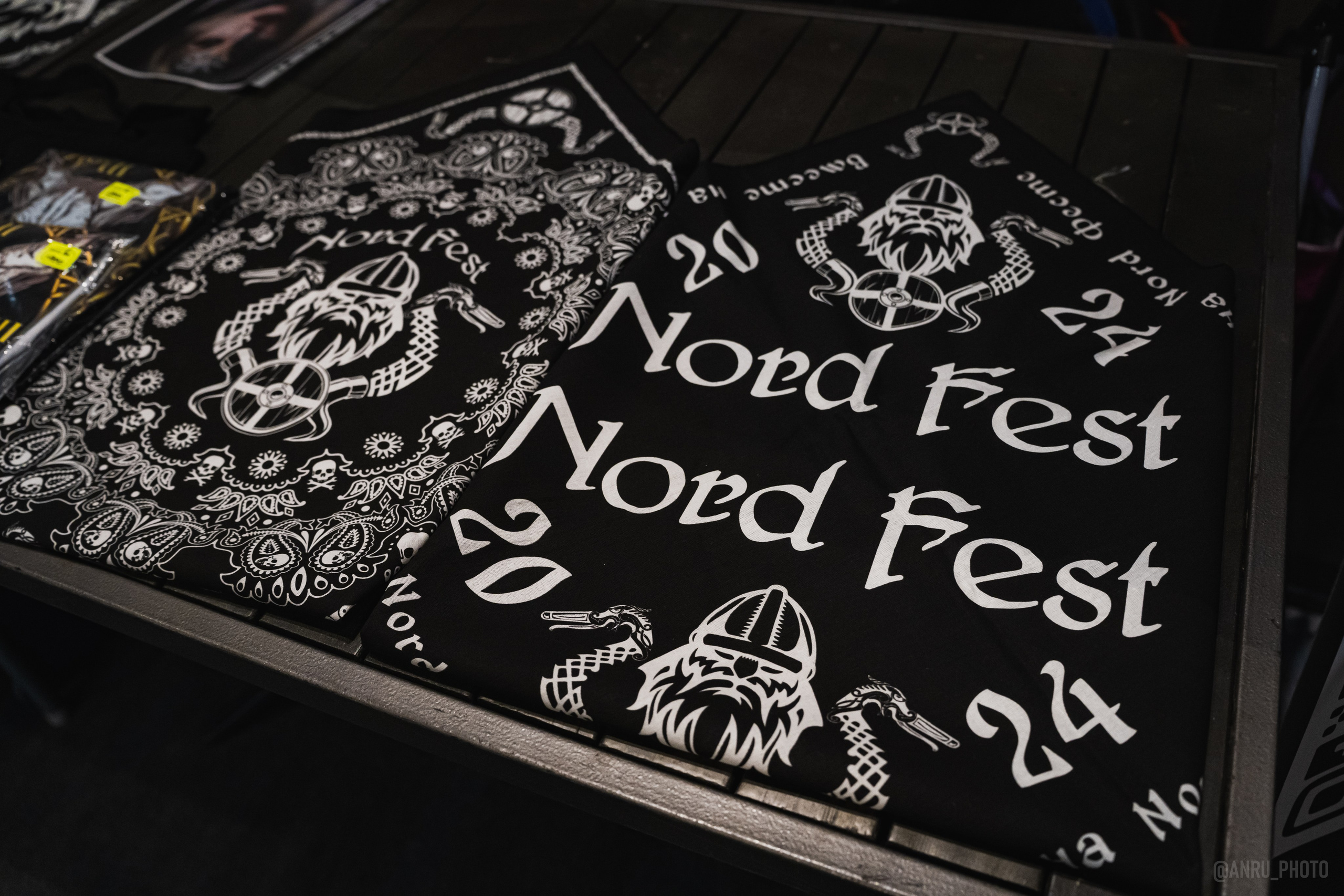 Выставка, гости на Nord fest. Репортажный фотограф Анастасия Рубцова