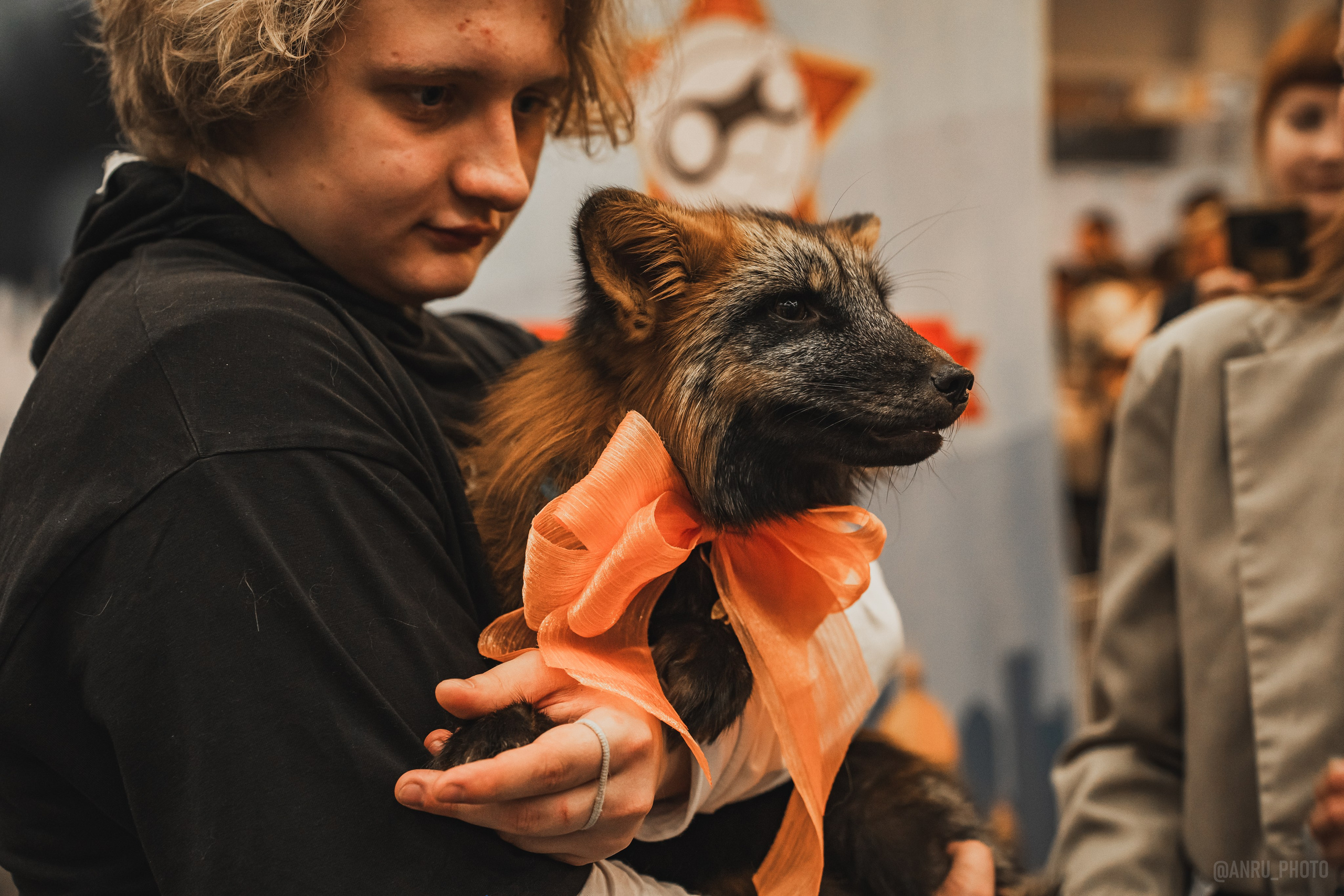 Fox Family fest. Репортажный фотограф Анастасия Рубцова