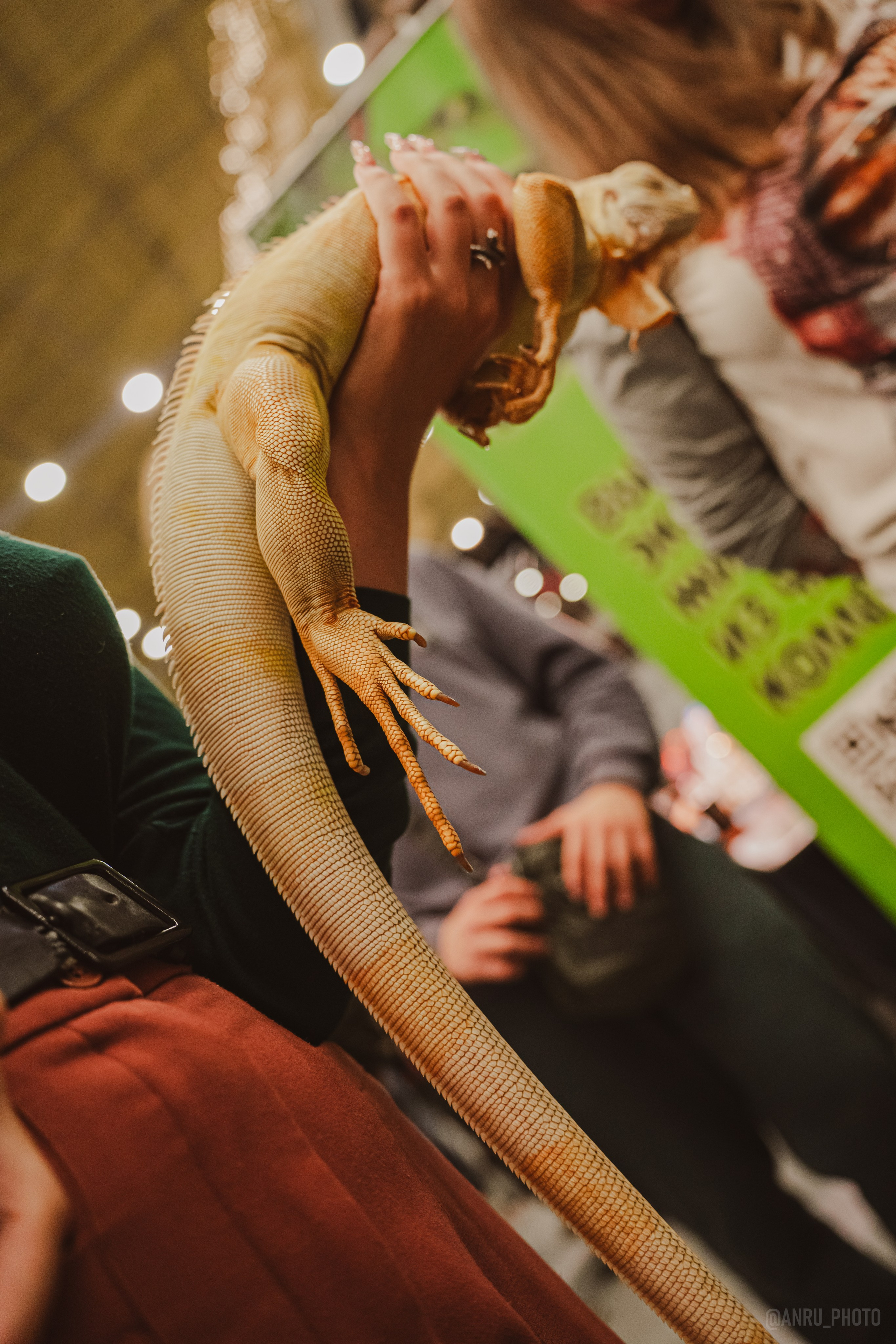 Fox Family fest. Репортажный фотограф Анастасия Рубцова