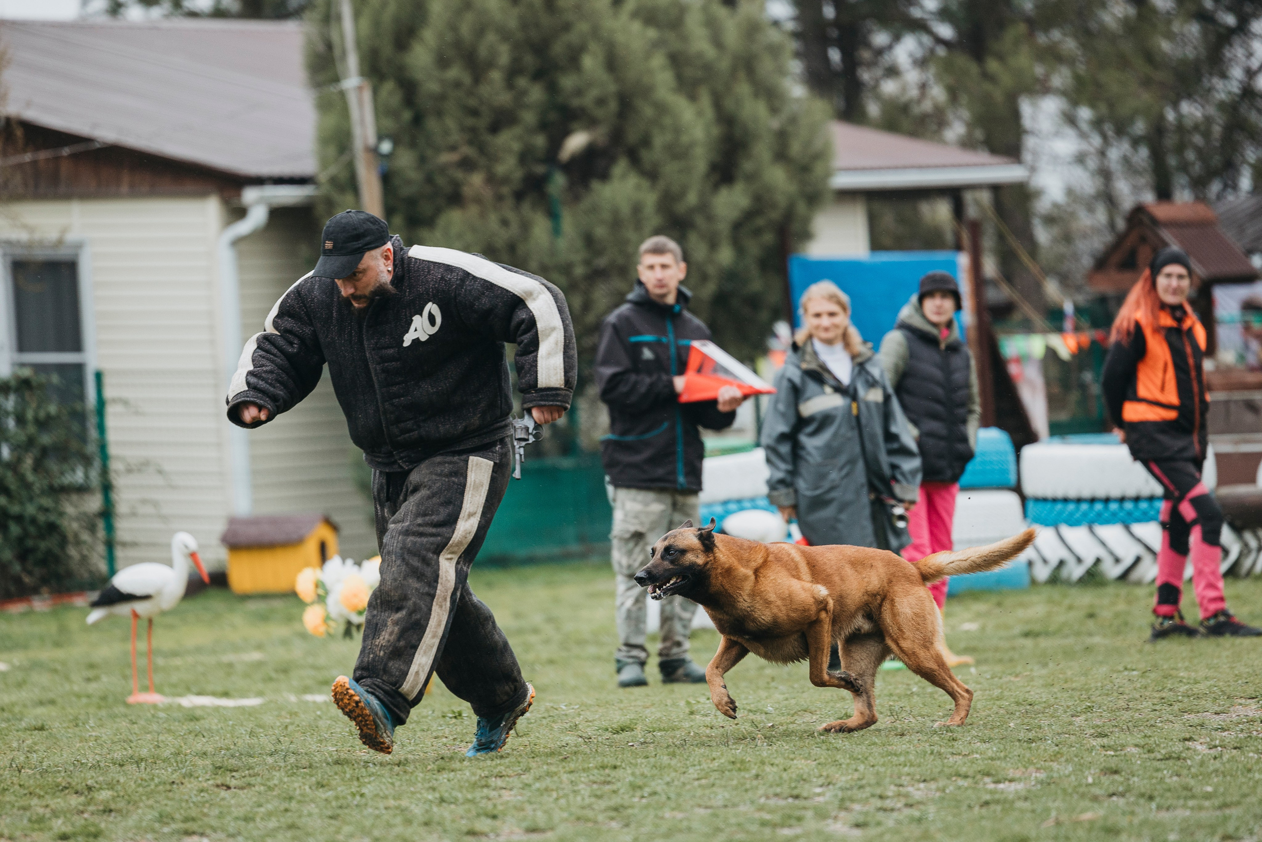 Геленджик Мондьоринг. Фотограф-анималист Анна Маринич