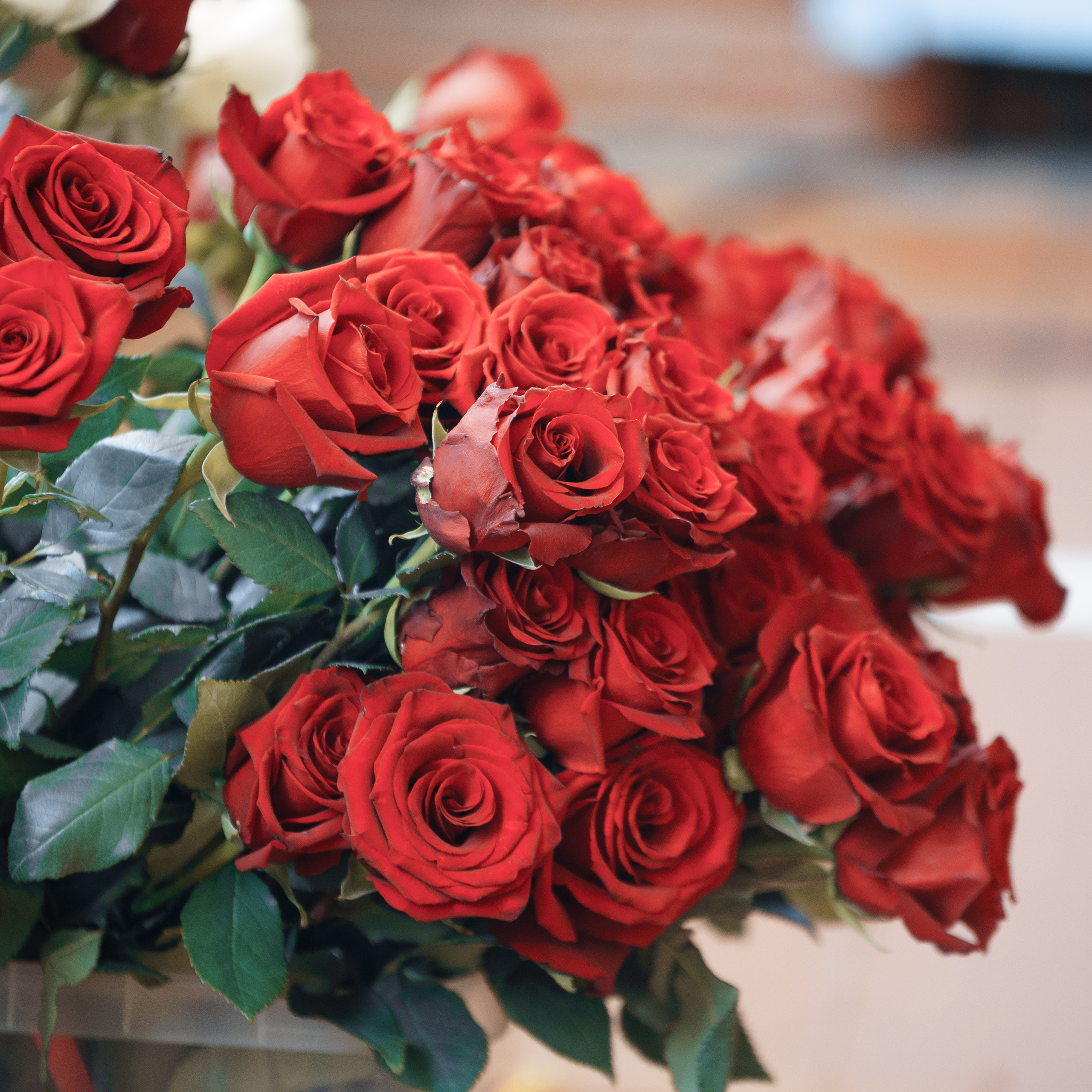 Последний звонок в гимназии № 7 в Торжке 2021. Павленко Дмитрий фотограф и видеограф в Торжке