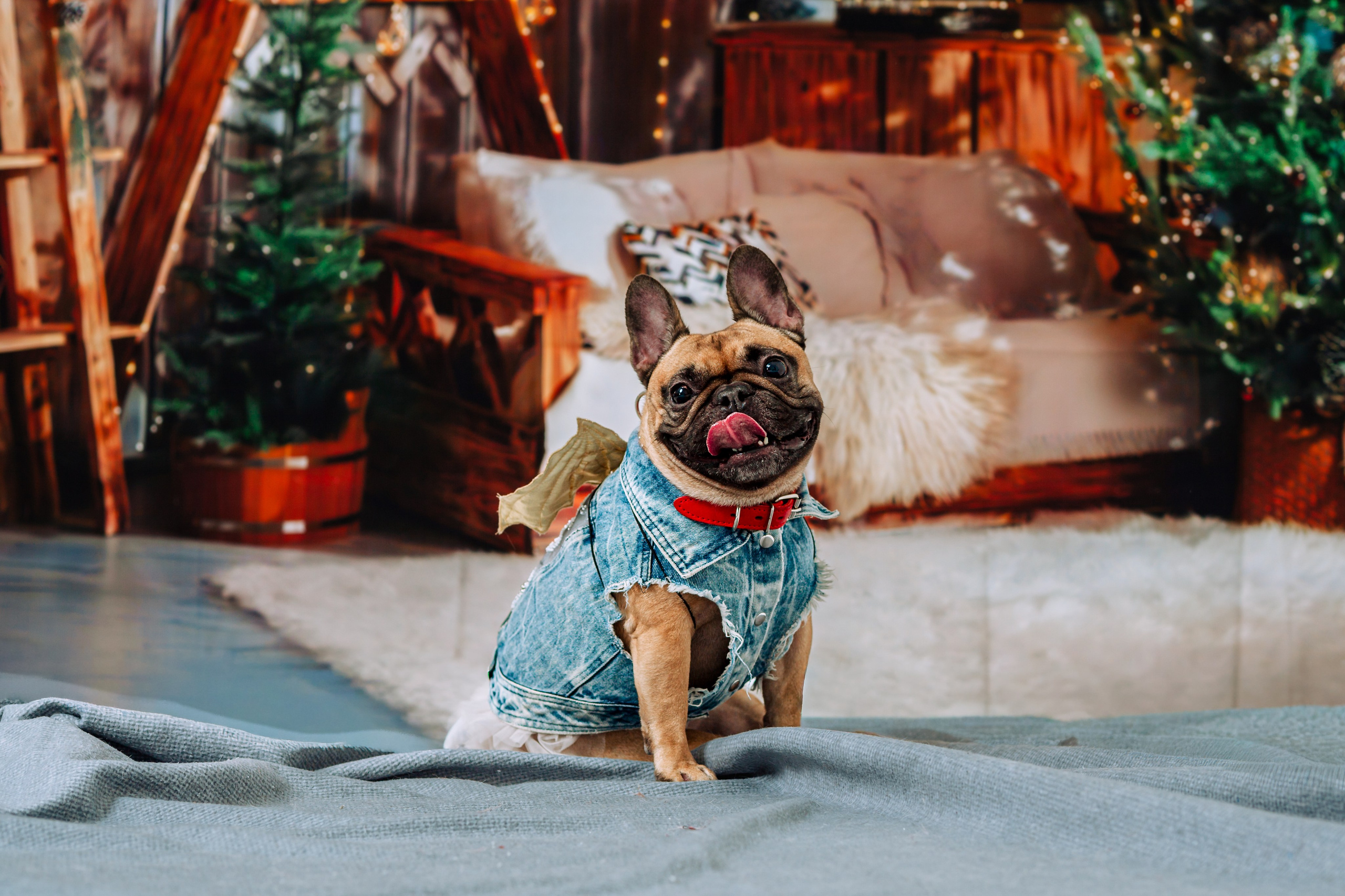 Бульвстреча 2025. Фотограф-анималист Татьяна Степанова