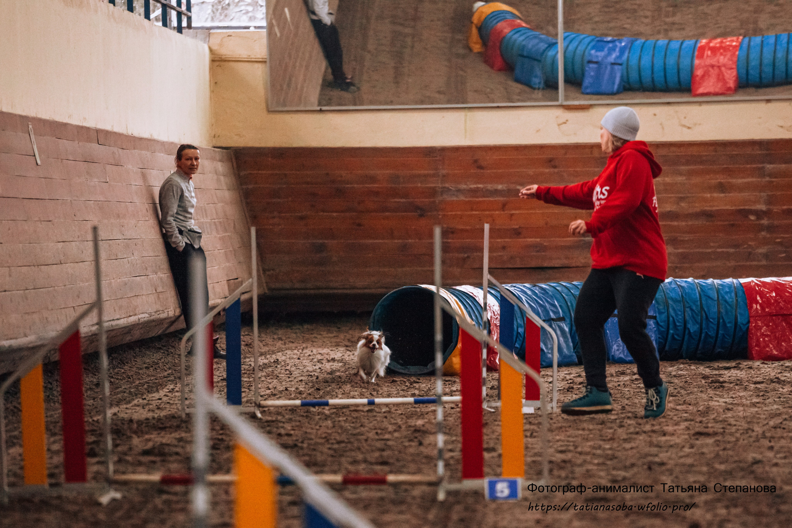 Соревнования по Аджилити 25.02.2024. Фотограф-анималист Татьяна Степанова