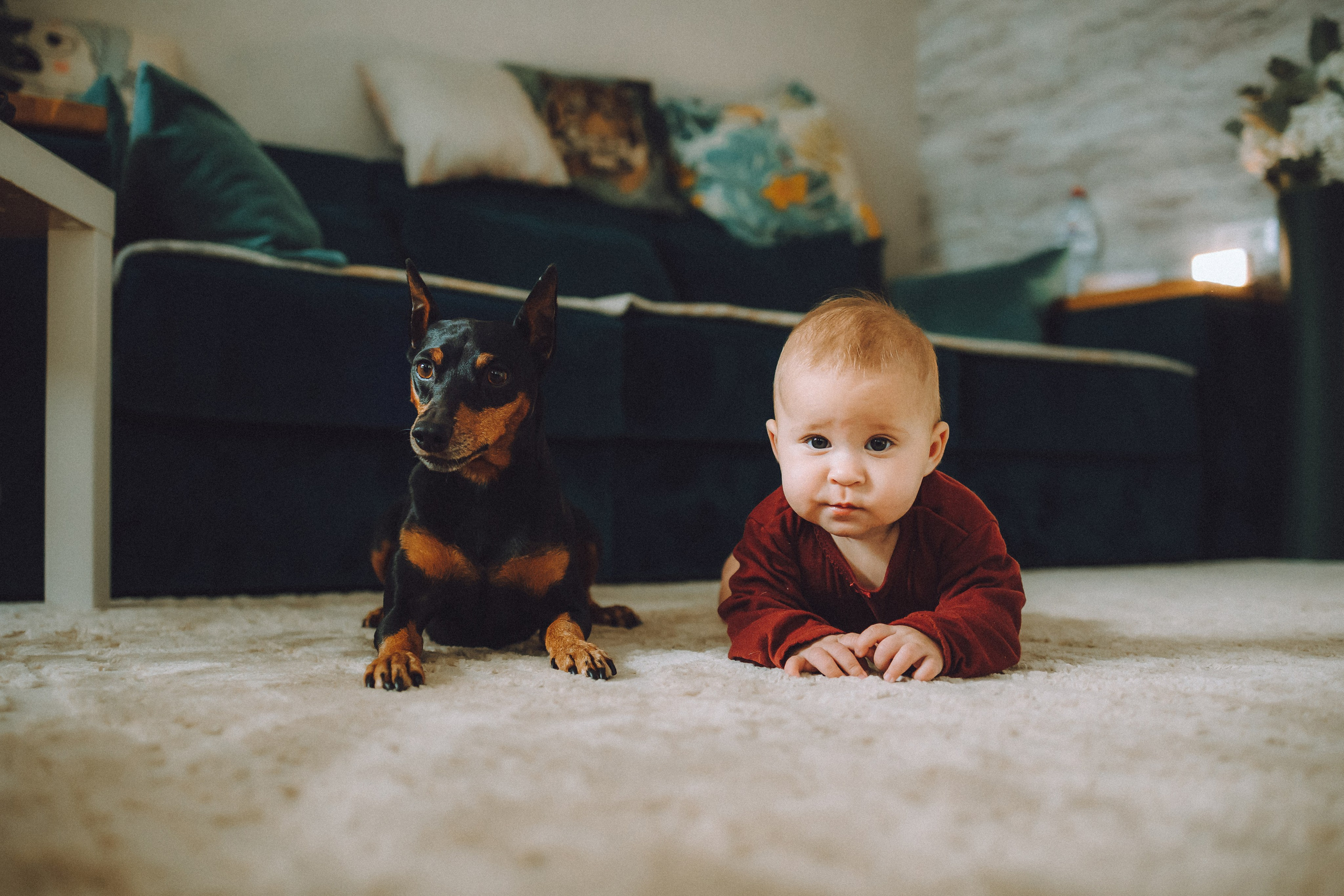 Топик и его семья