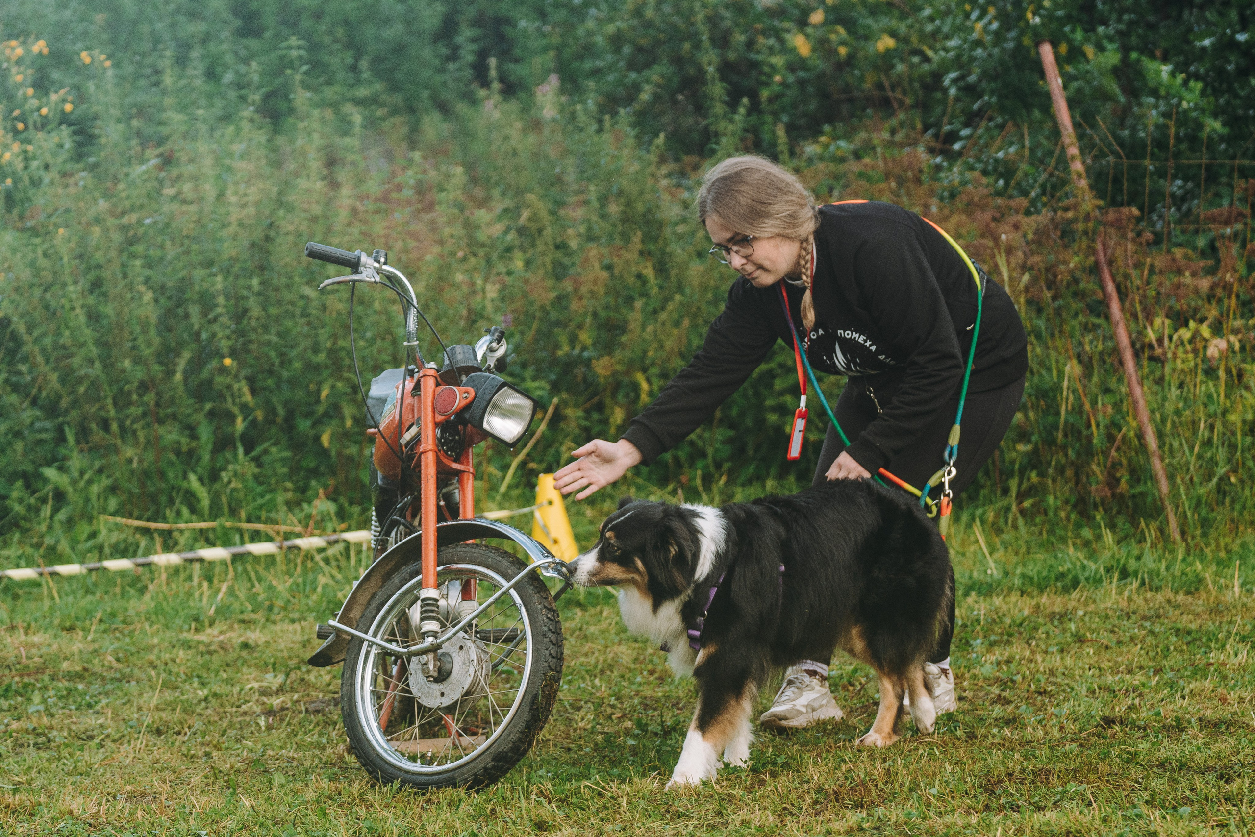 Соревнования по ноузворку в Новожилово. Фотограф анималист в Спб недорого Олеся Майорова