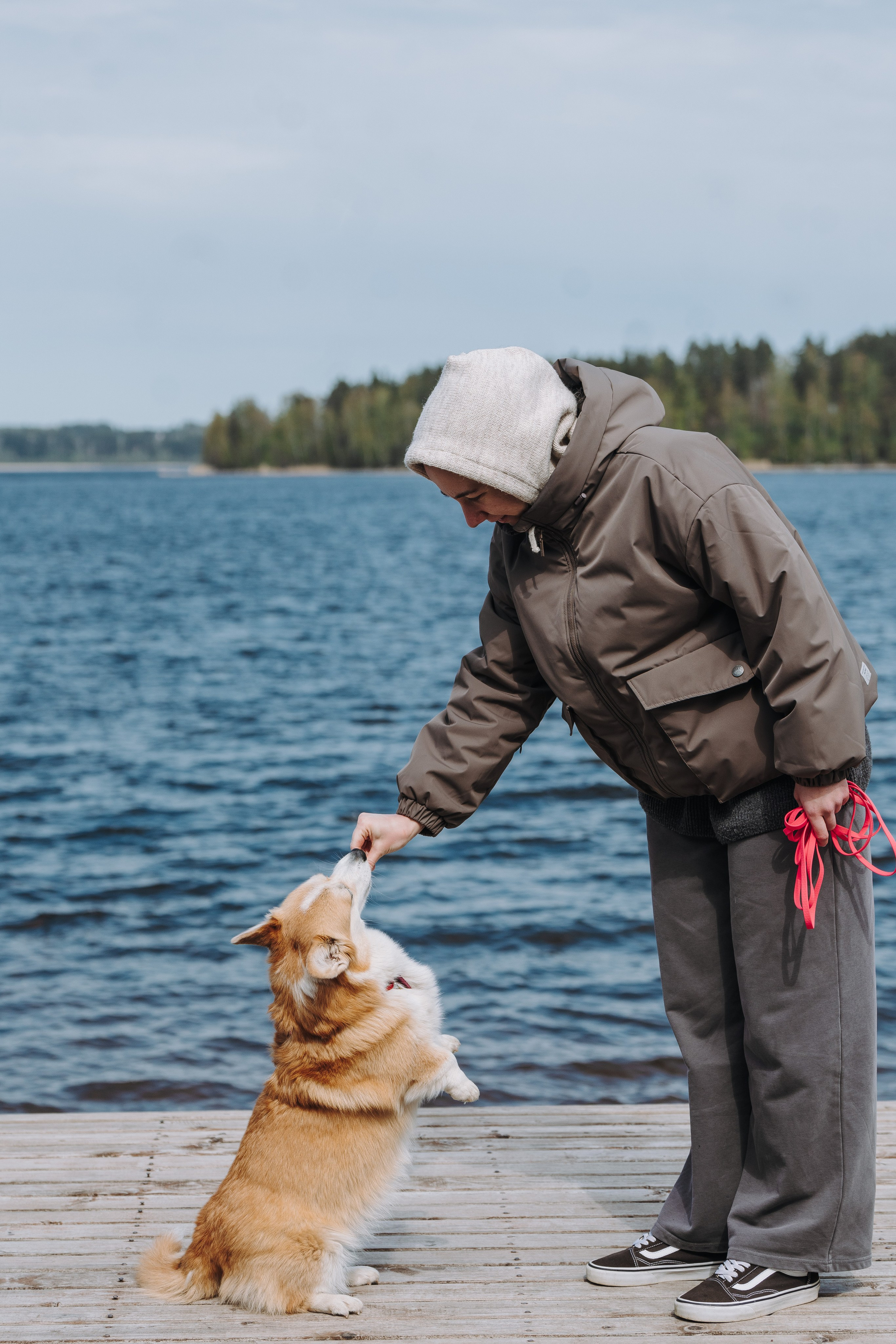 Соревнования по ноузворку в Лосево. Фотограф анималист в Спб недорого Олеся Майорова