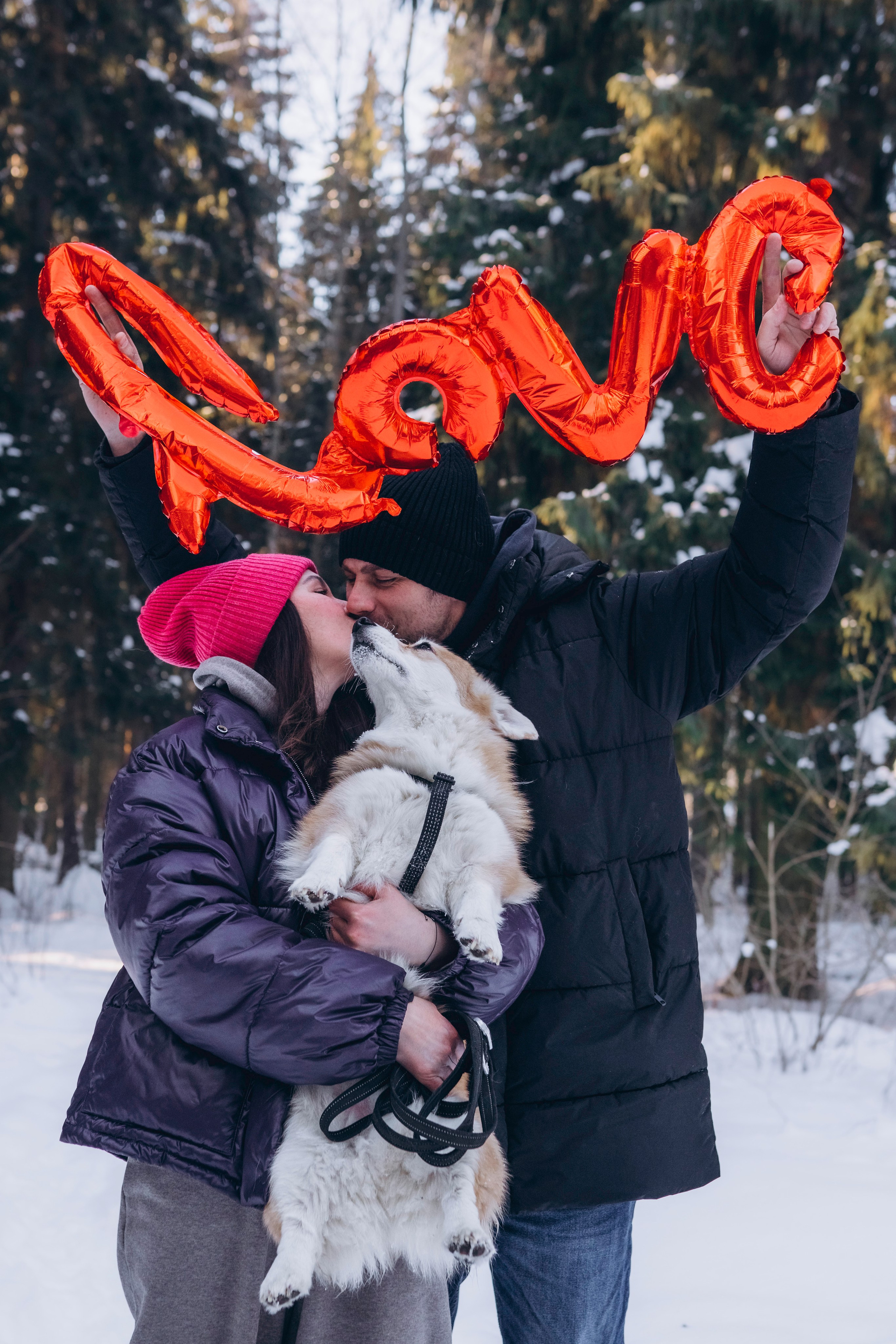 Фотодень Святого Валентина. Фотограф анималист в Спб недорого Олеся Майорова