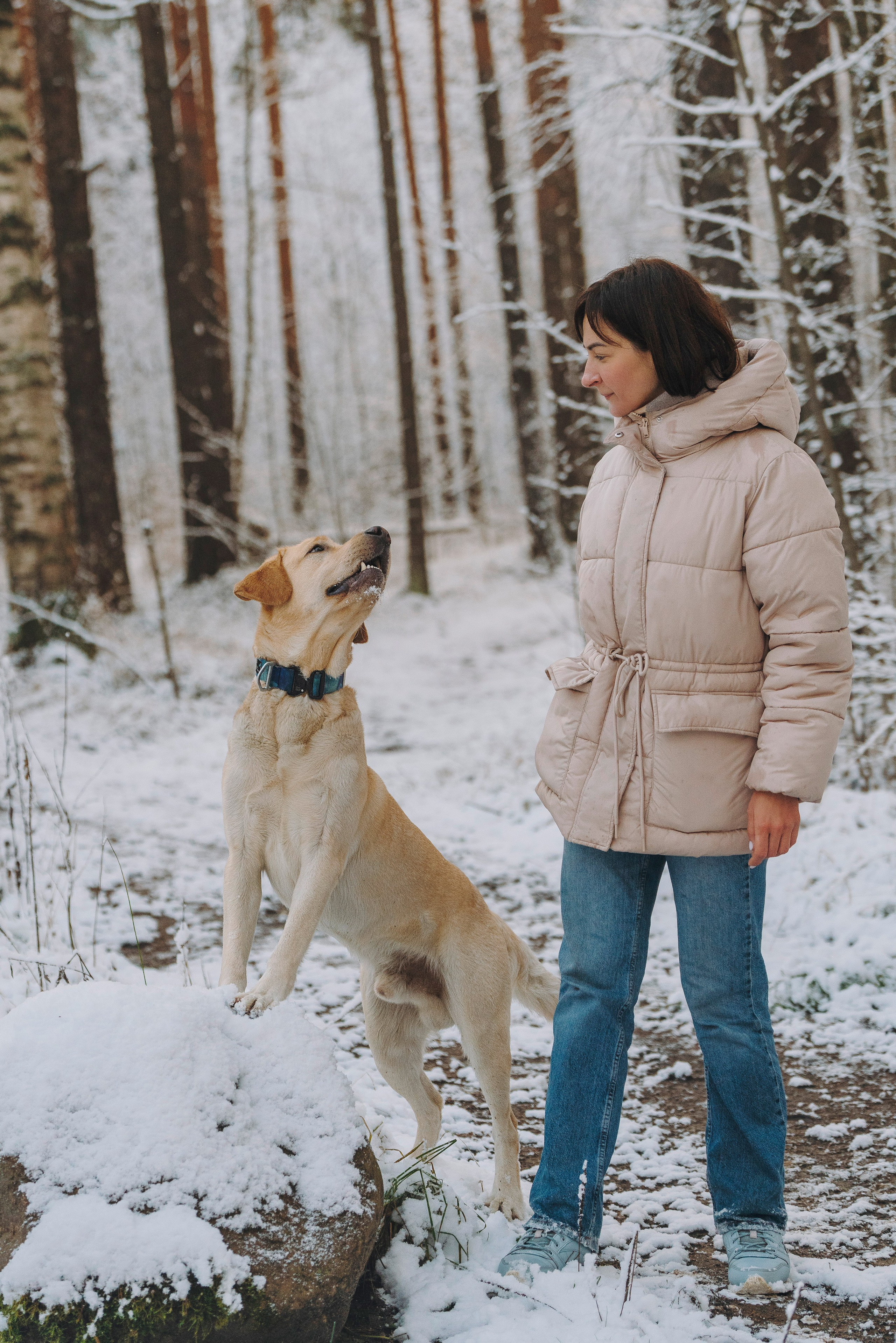 Аня и Честер. Фотограф анималист в Спб недорого Олеся Майорова