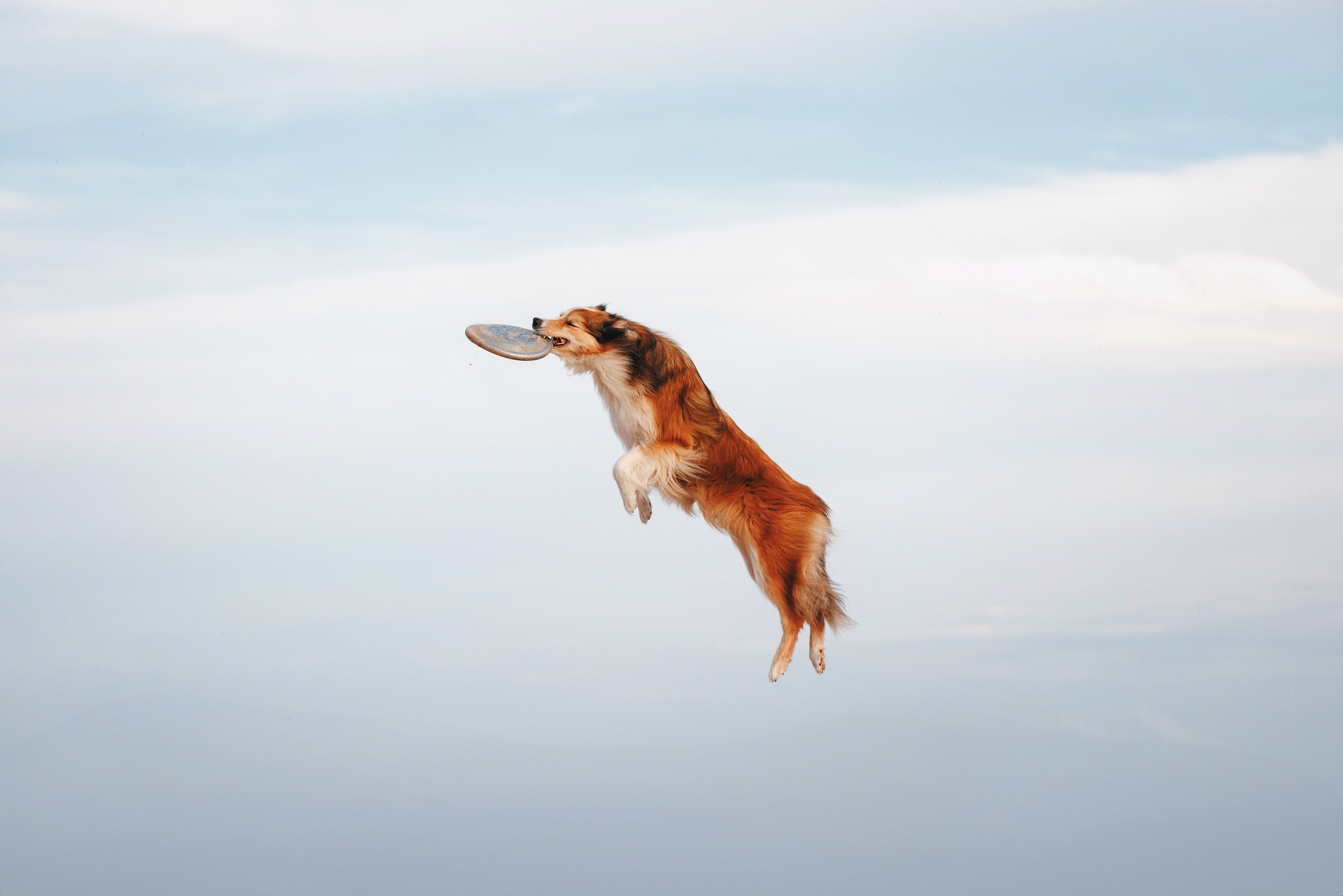 Фотограф анималист Осипчикова Мария