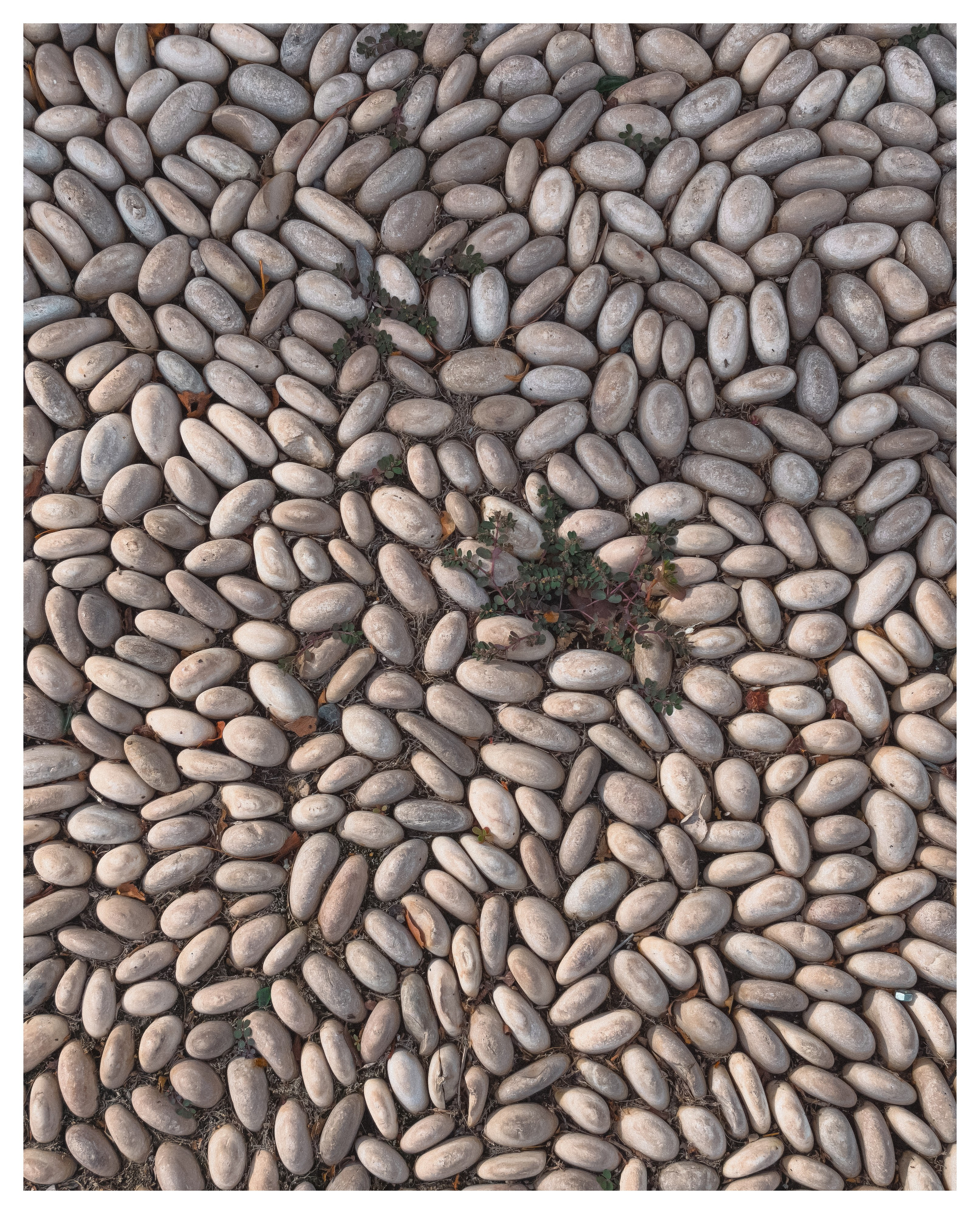 Мир повседневных Вещей. Репортажный и портретный фотограф, Влад Хафизов, Москва