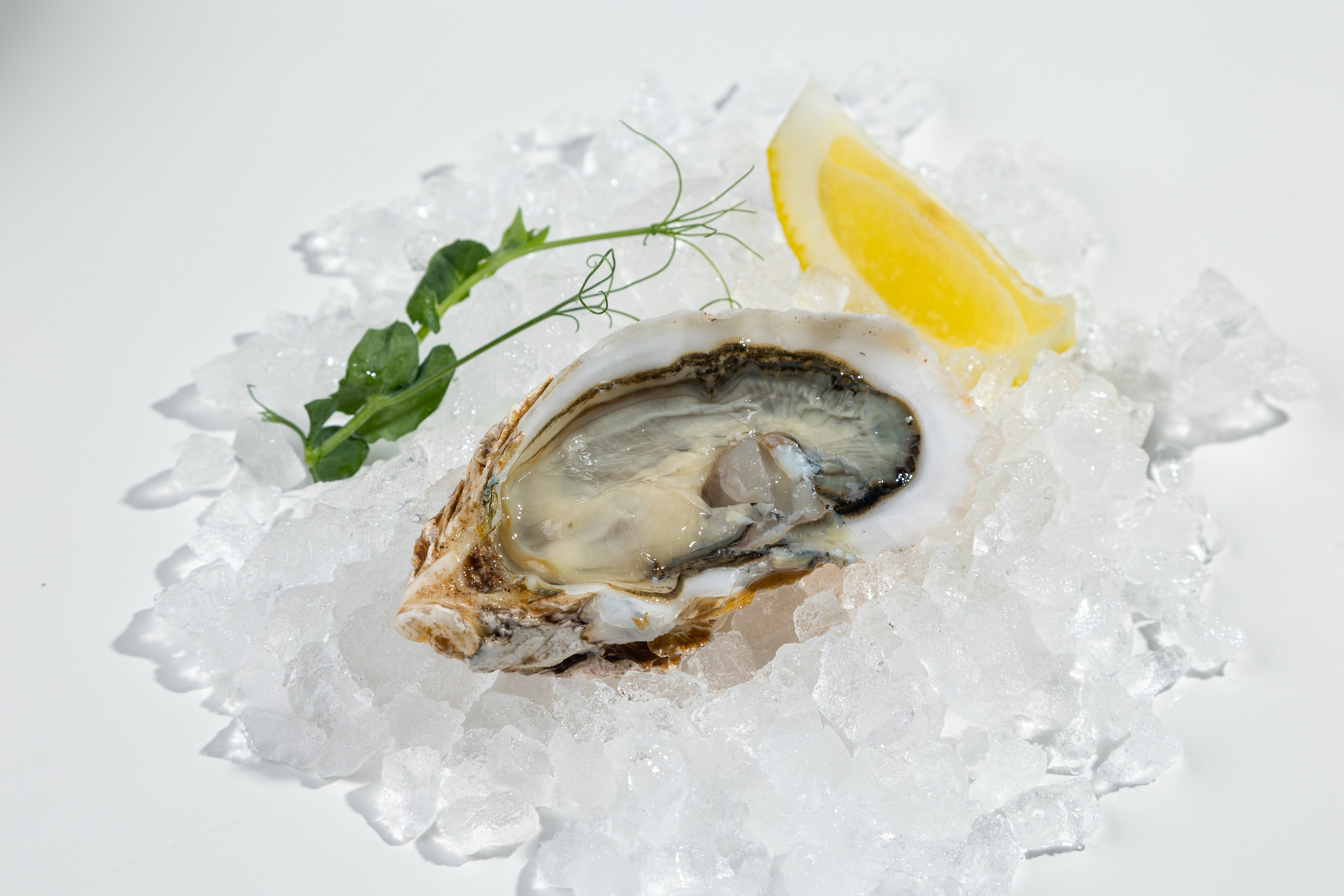 «Сибас», доставка роллов и морепродуктов. Ольга Панкова предметный и фуд-фотограф в Краснодаре