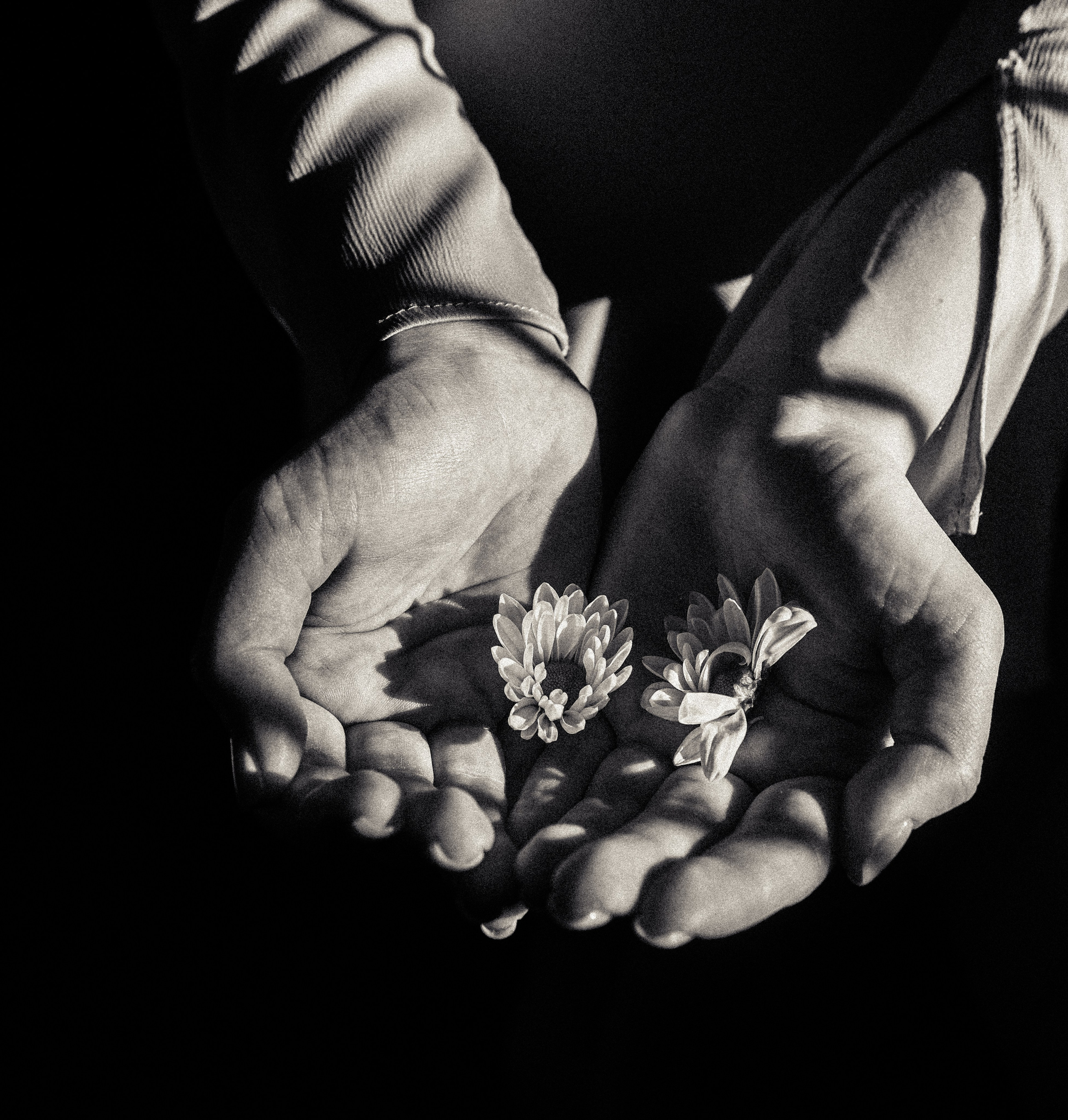 Пакет «Индивидуальный». Портретный и семейный lifestyle фотограф Мария Боленичева в Москве и Красногорске