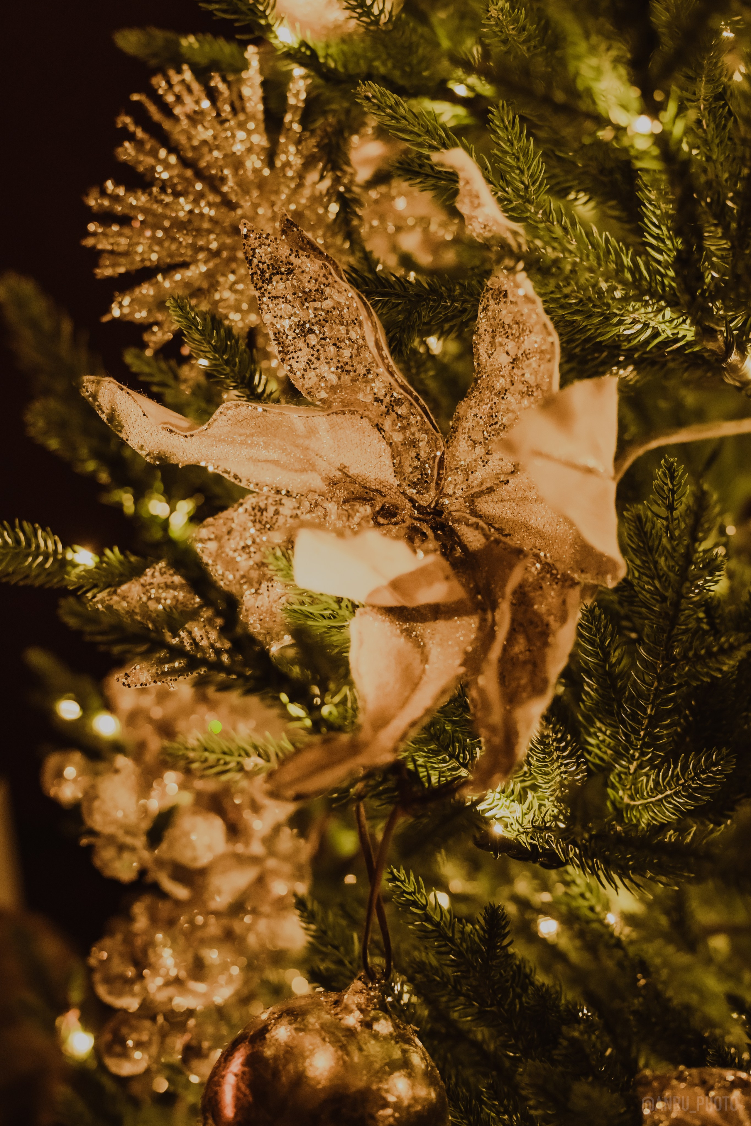 День Альфреда Хичкока. Репортажный фотограф Анастасия Рубцова