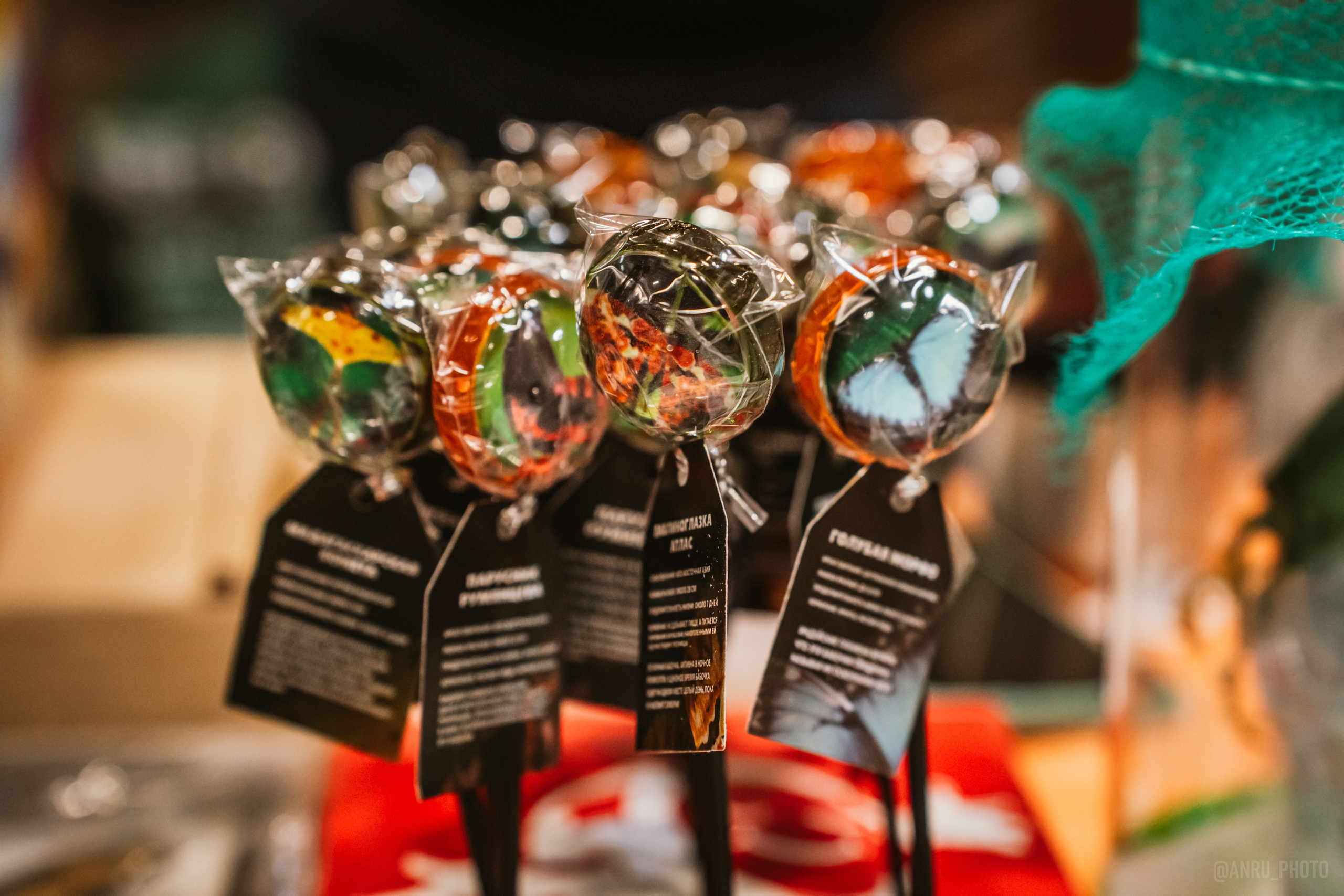 Рептилиум (ручная работа). Репортажный фотограф Анастасия Рубцова