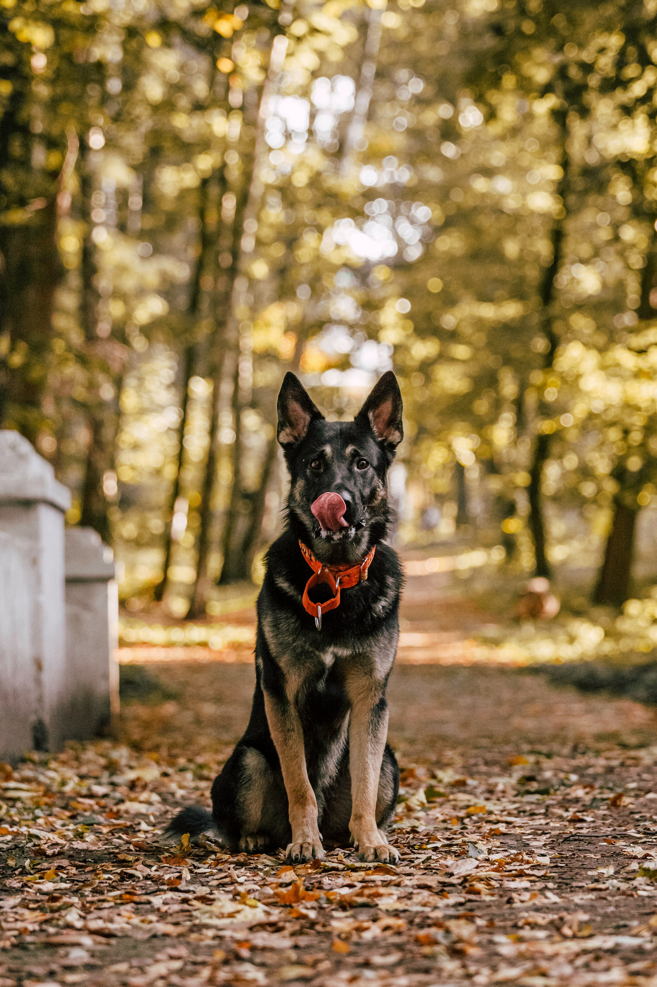 Илай. Фотограф-анималист Татьяна Степанова