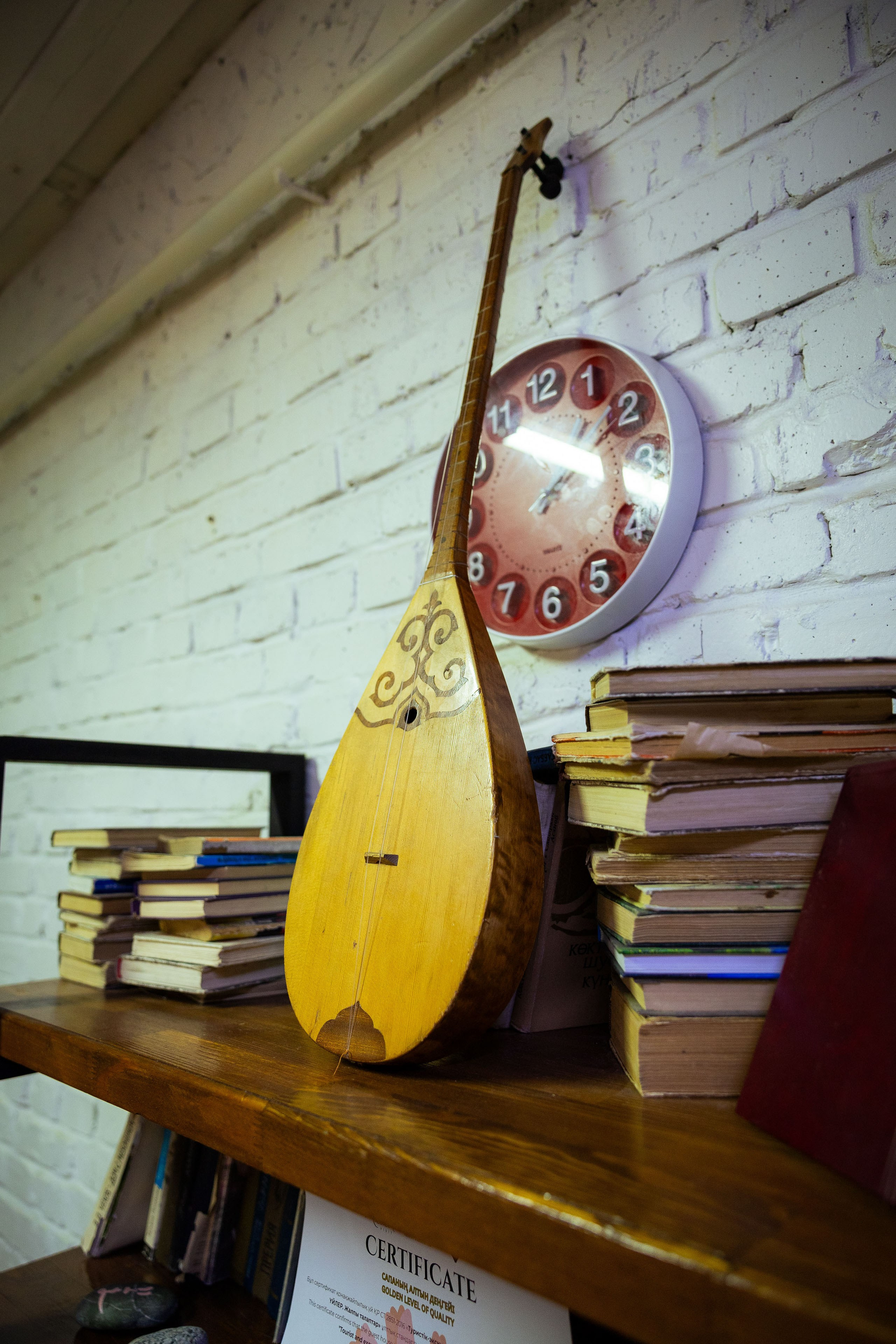 Казахстан (осень 2024). Фотограф Виноградов Константин