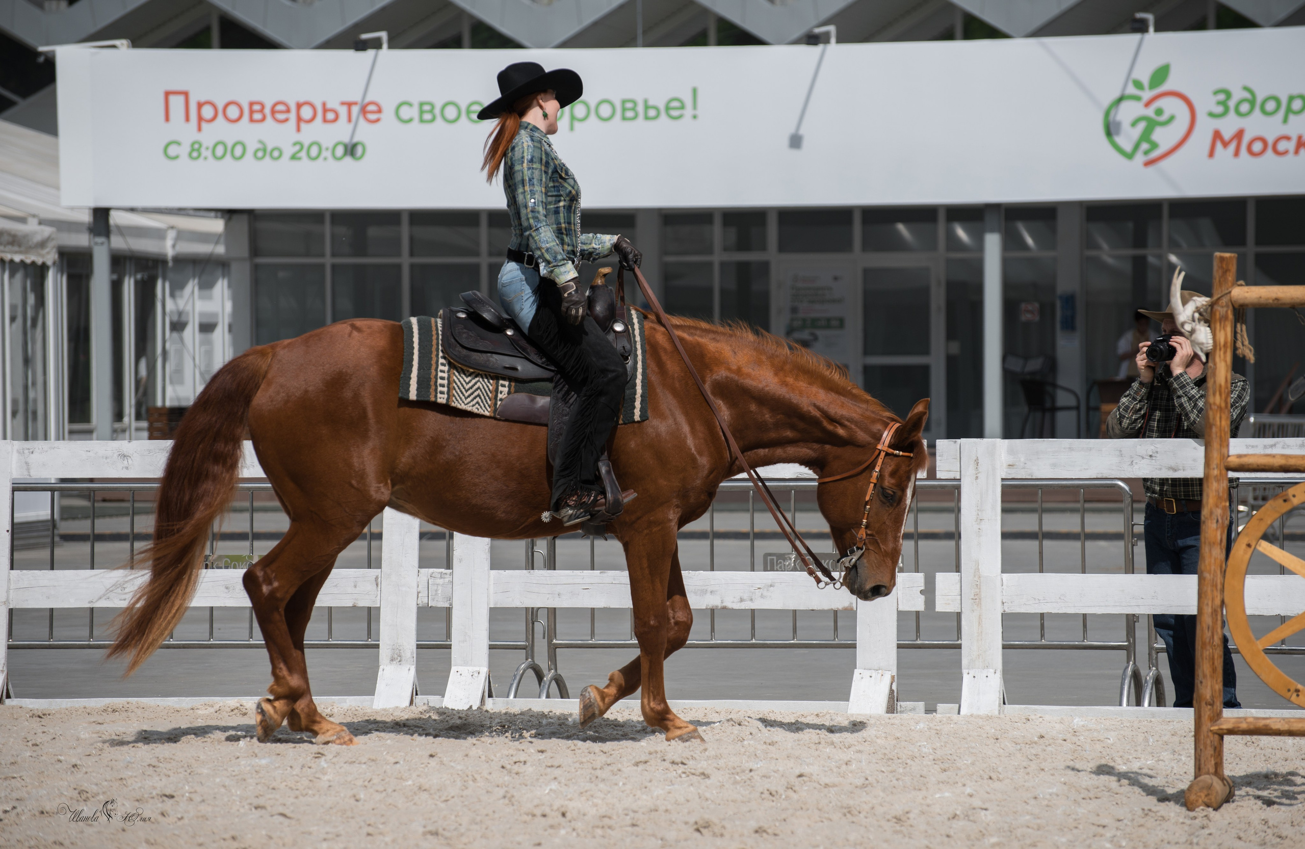 Эквирос, Москва. Конный фотограф в Саратове Юлия Иванова