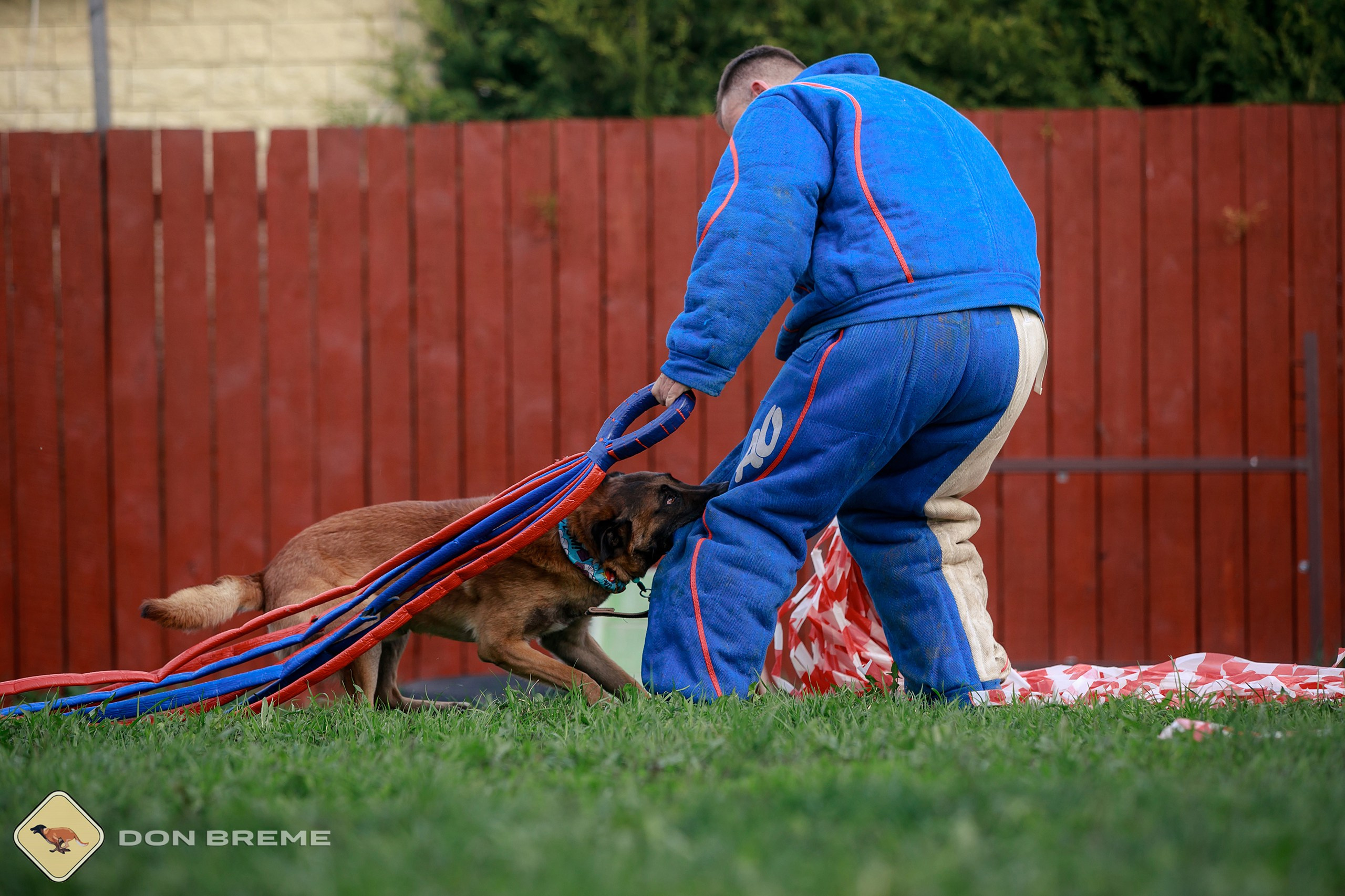 Семинар для фигурантов, день 2. Фотограф-анималист Mary Mart — Москва, Питер