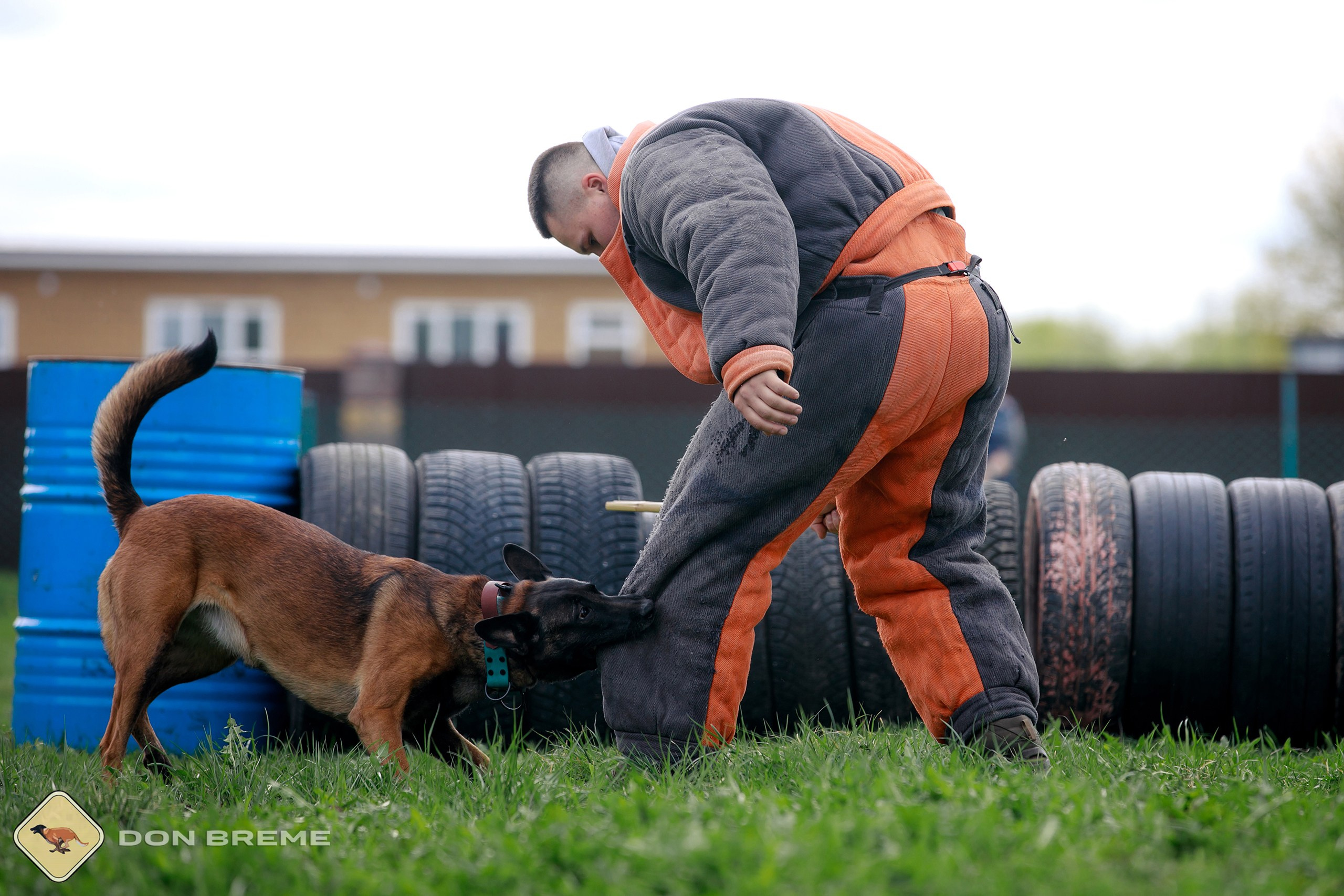 Семинар для фигурантов, день 2. Фотограф-анималист Mary Mart — Москва, Питер