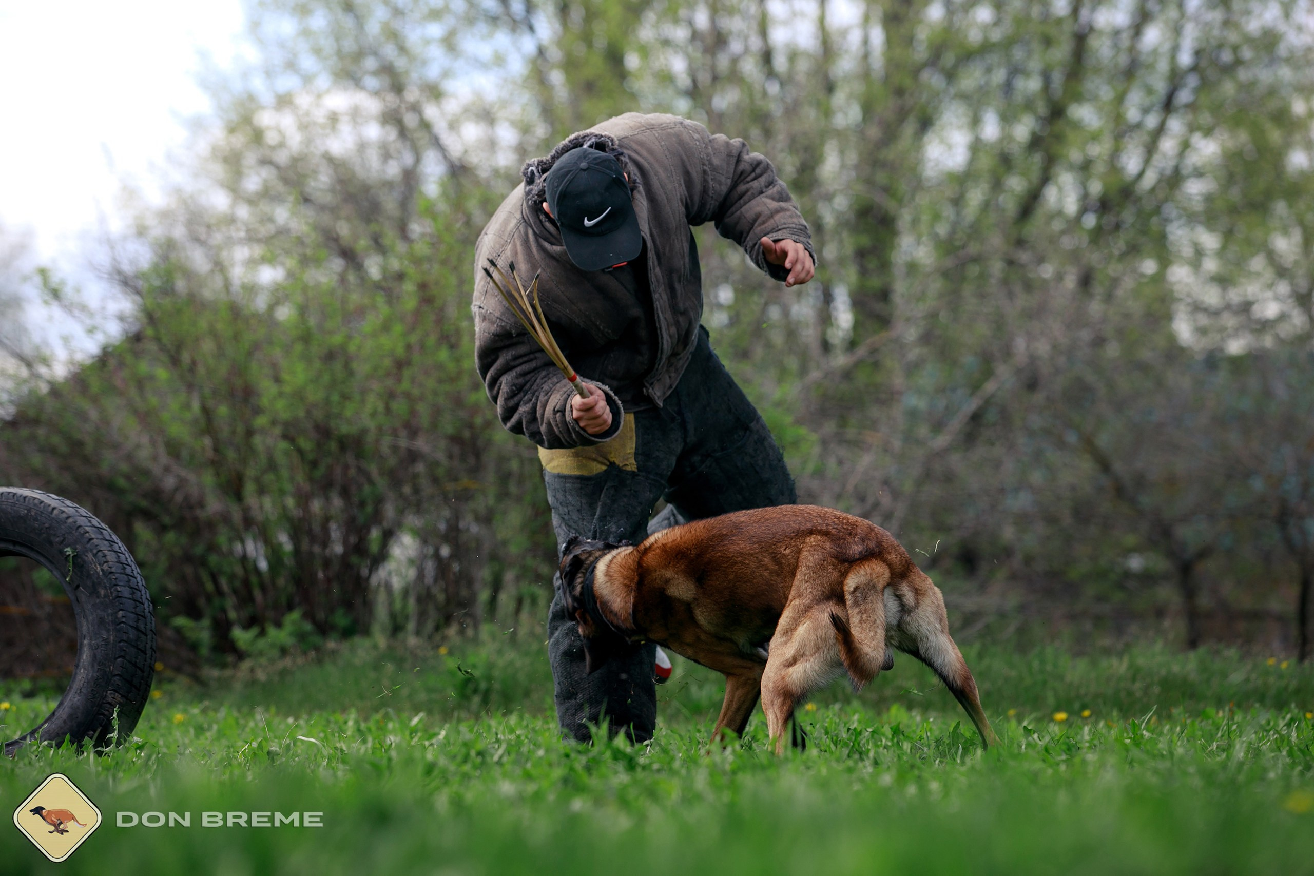 Семинар для фигурантов, день 2. Фотограф-анималист Mary Mart — Москва, Питер