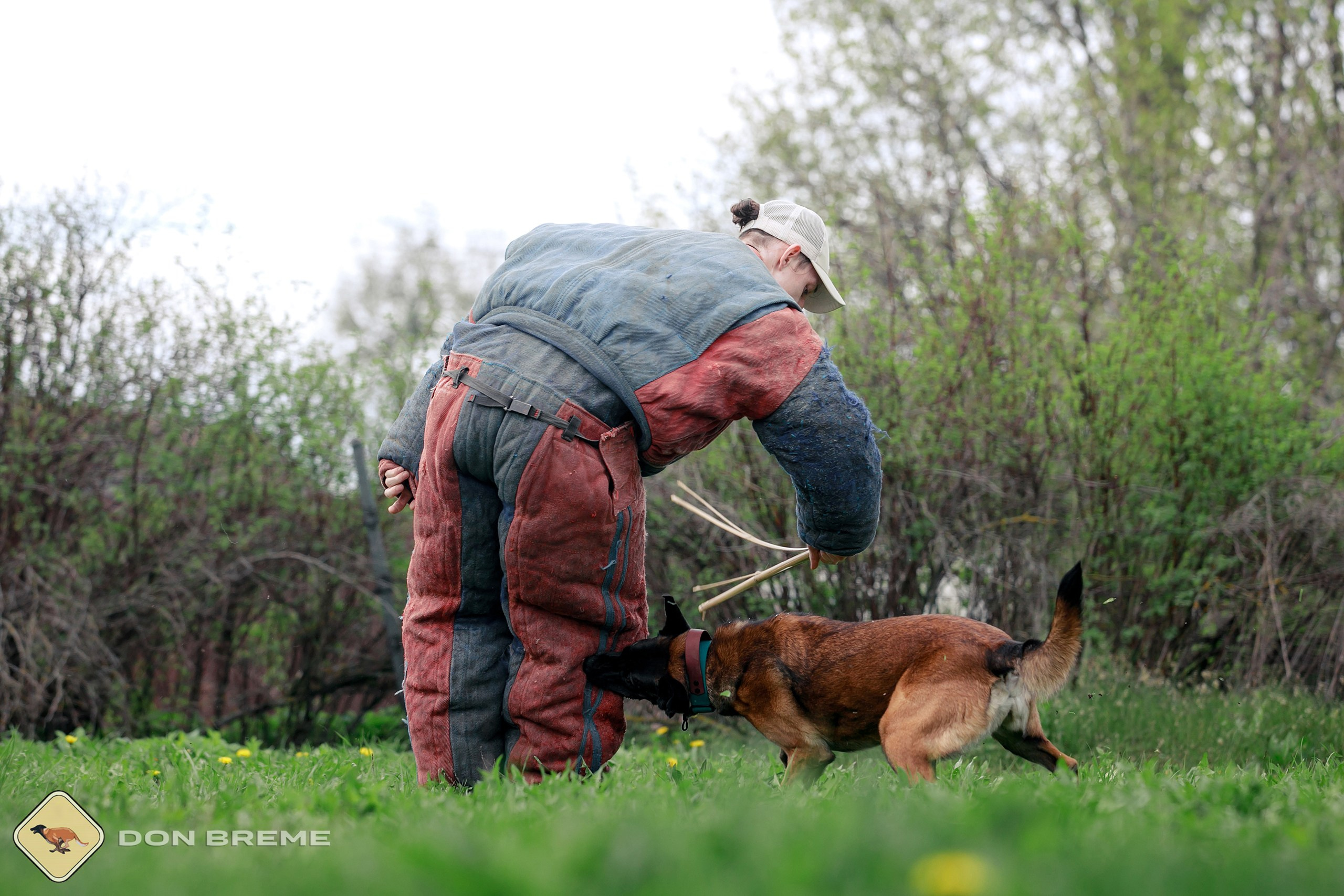 Семинар для фигурантов, день 2. Фотограф-анималист Mary Mart — Москва, Питер