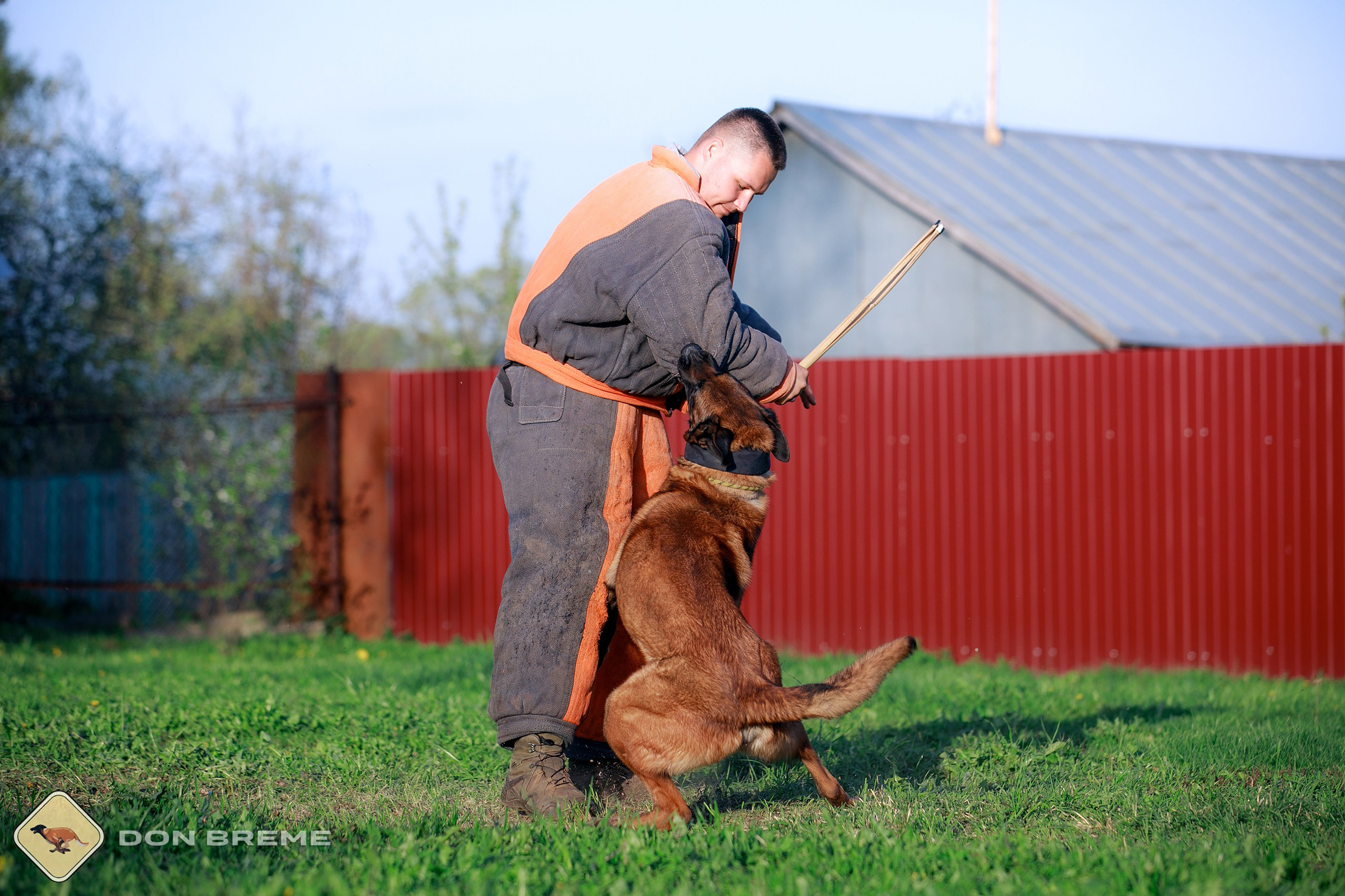 Семинар для фигурантов, день 4. Фотограф-анималист Mary Mart — Москва, Питер