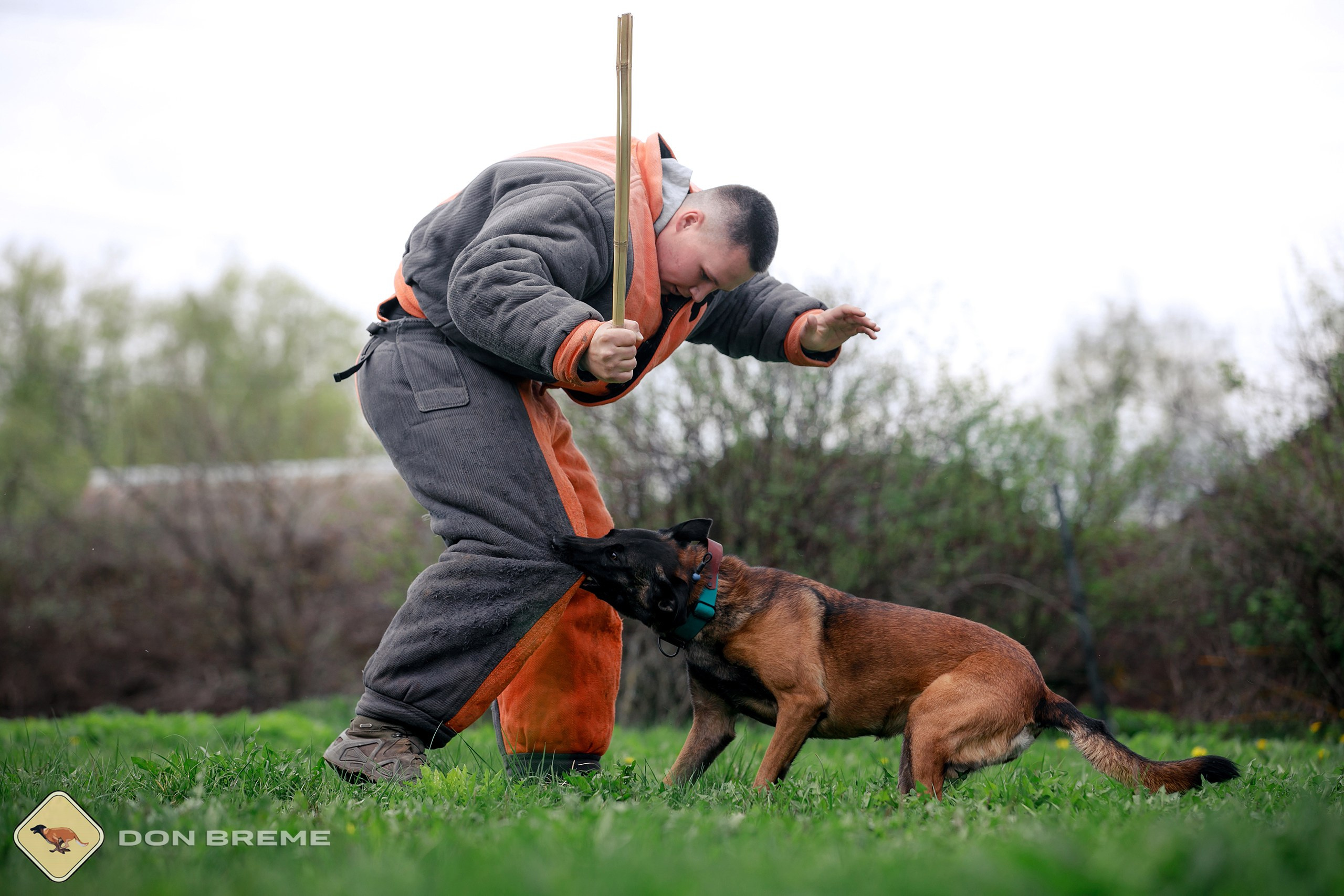 Семинар для фигурантов, день 2. Фотограф-анималист Mary Mart — Москва, Питер