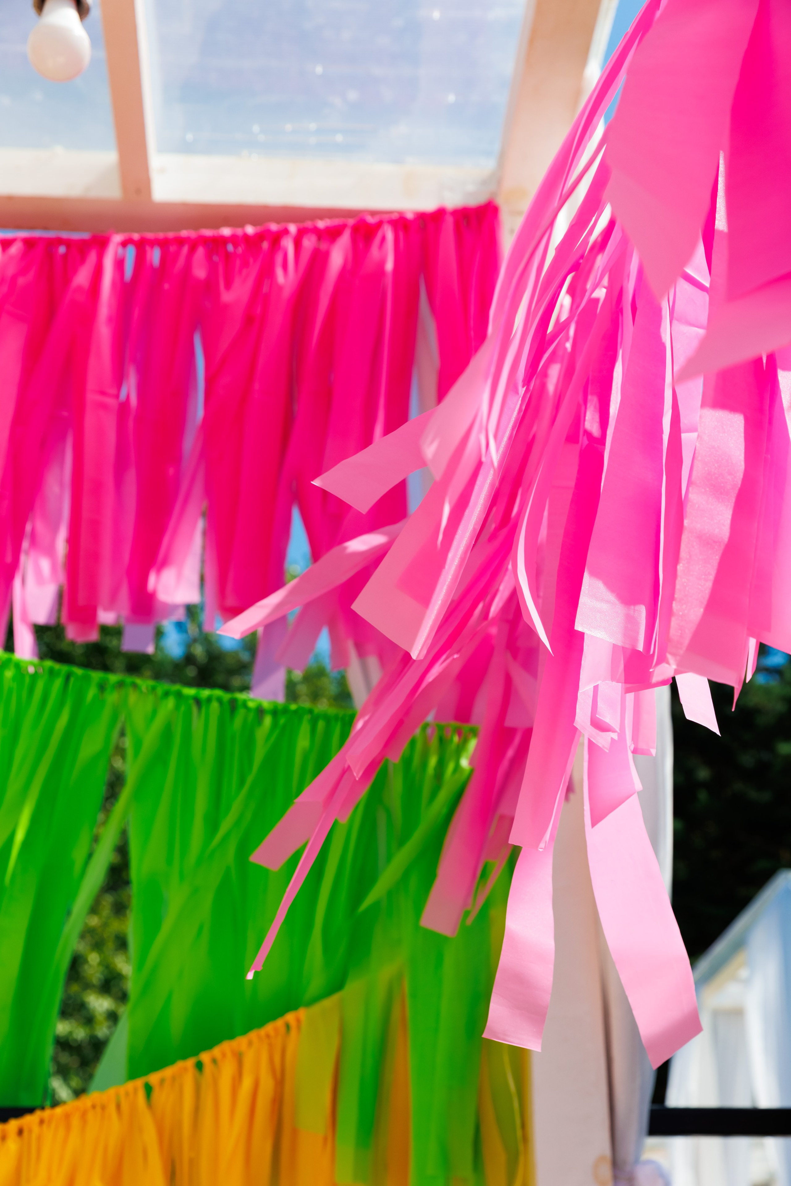 Летняя вечеринка декораторов ШИУ. Фотограф Новосибирск — Наталья Гресь