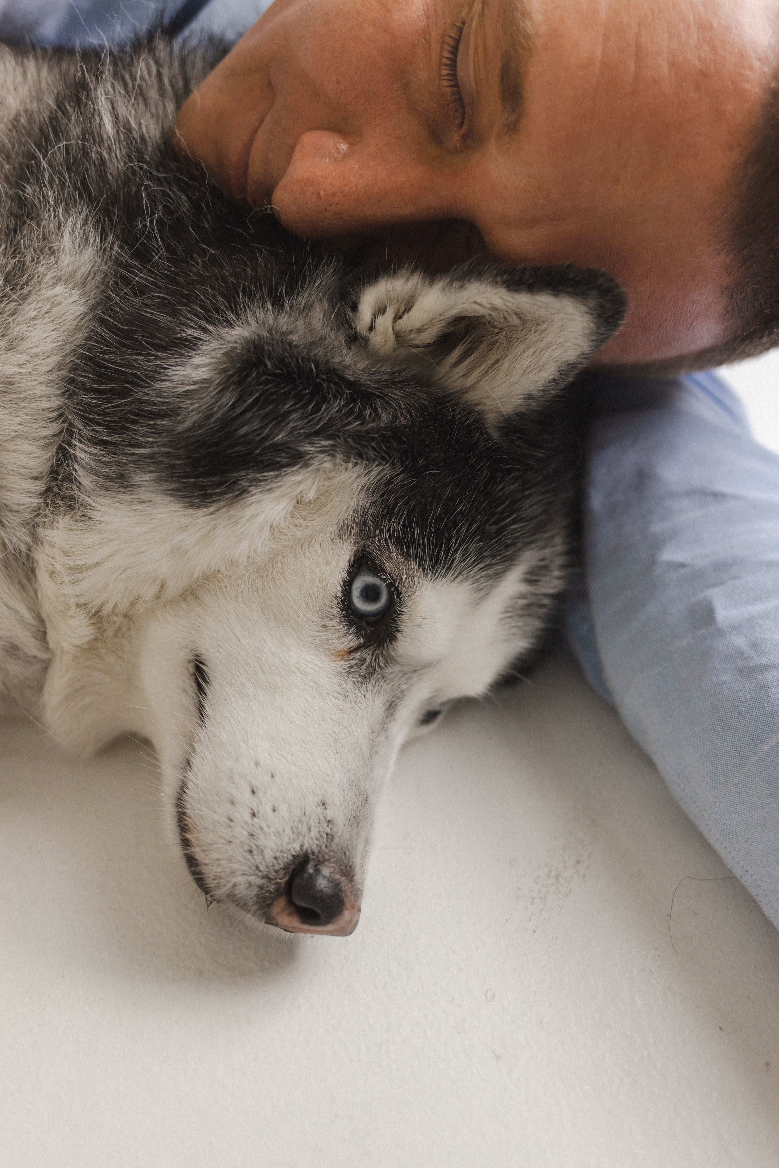 История семьи. Семейный фотограф в Москве