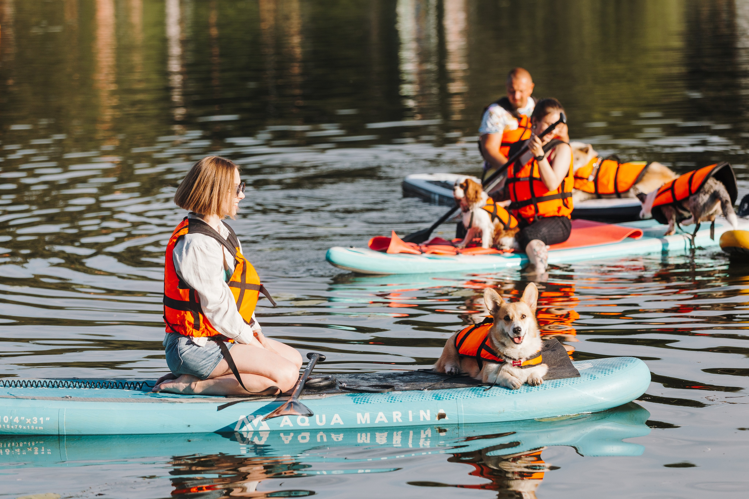 Petshop Sup day. Фотограф анималист Кристина Карпова, Москва