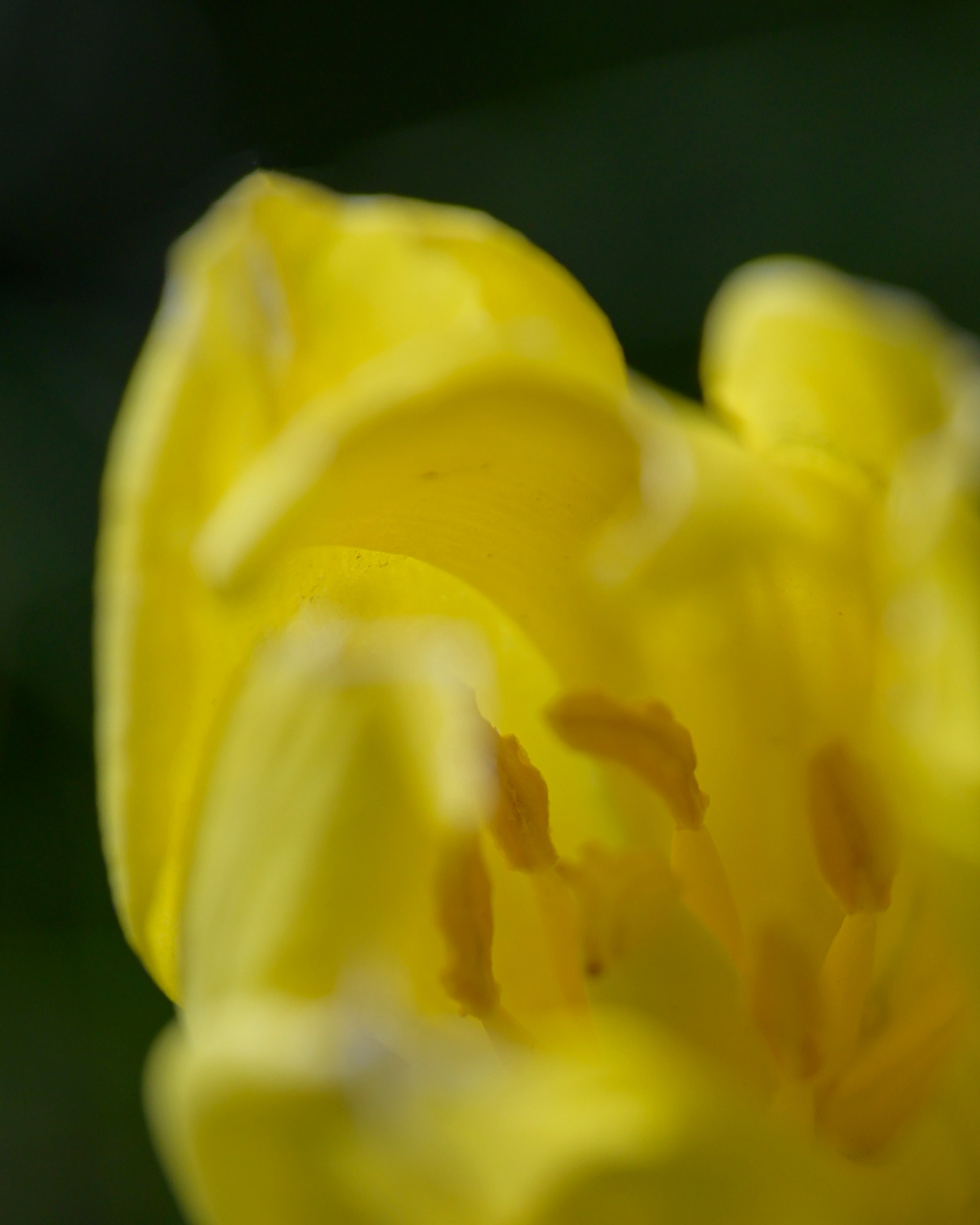 Оренбуржье. Портретный фотограф в Челябинске Катерина Руди