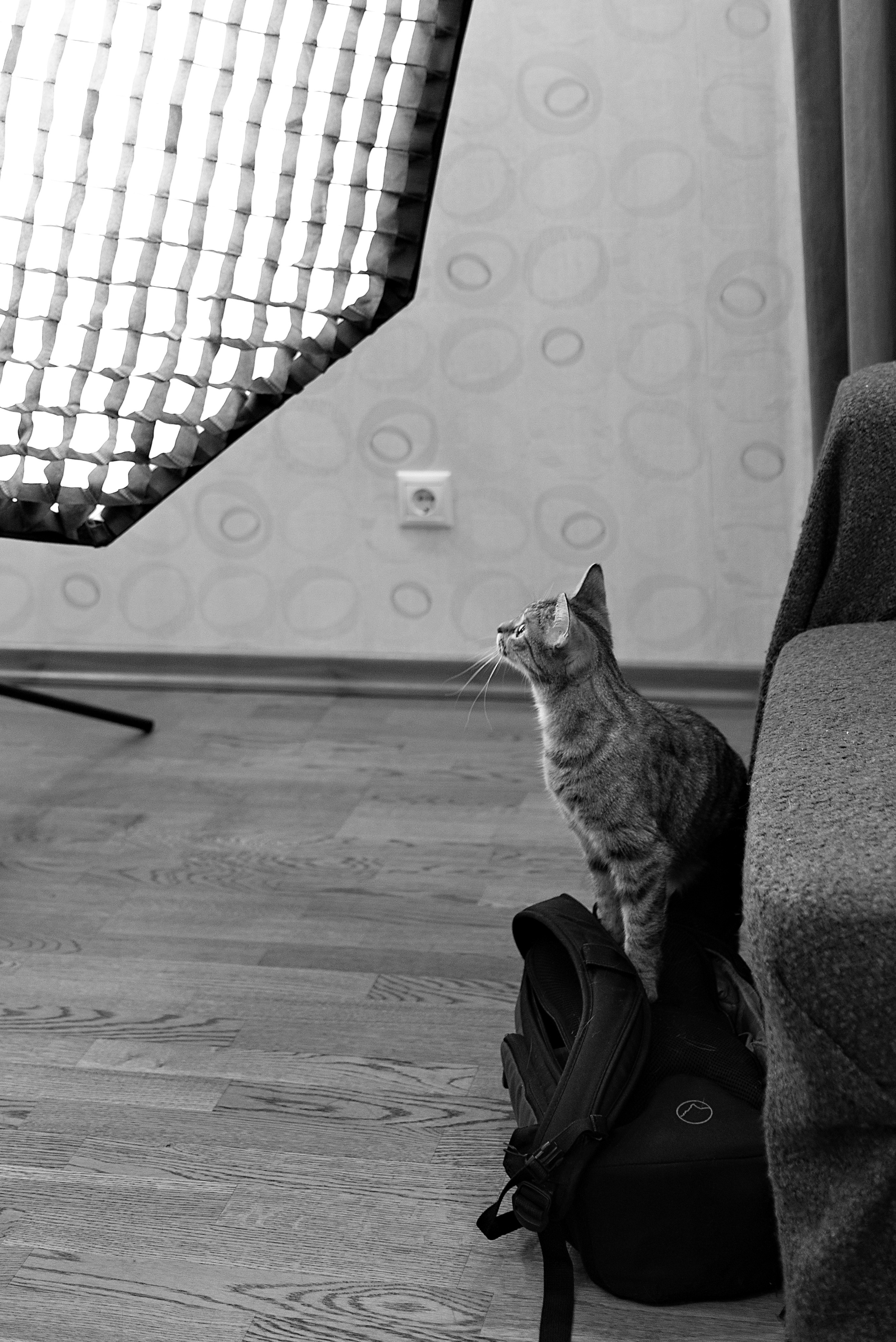 У истоков жизни: «Славные Роды». Фотограф на роды и ньюборн в Санкт-Петербурге | Настасья Сергеева