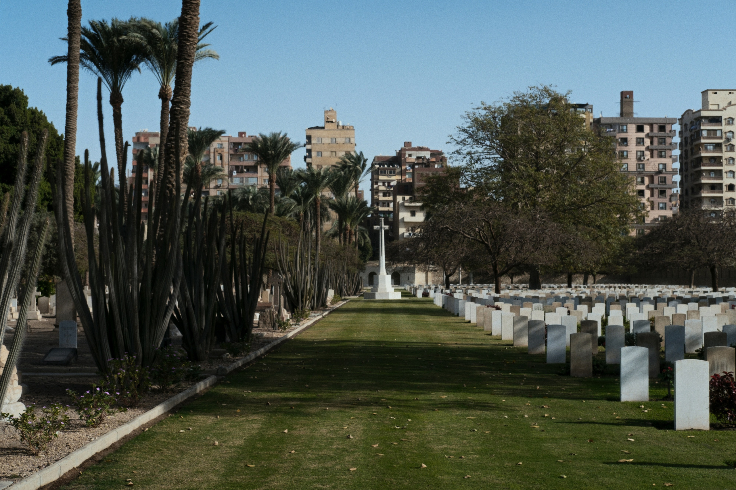 War Memorial Cemetery / Cairo, Egypt AW25. Фотограф Юрин Евгений
