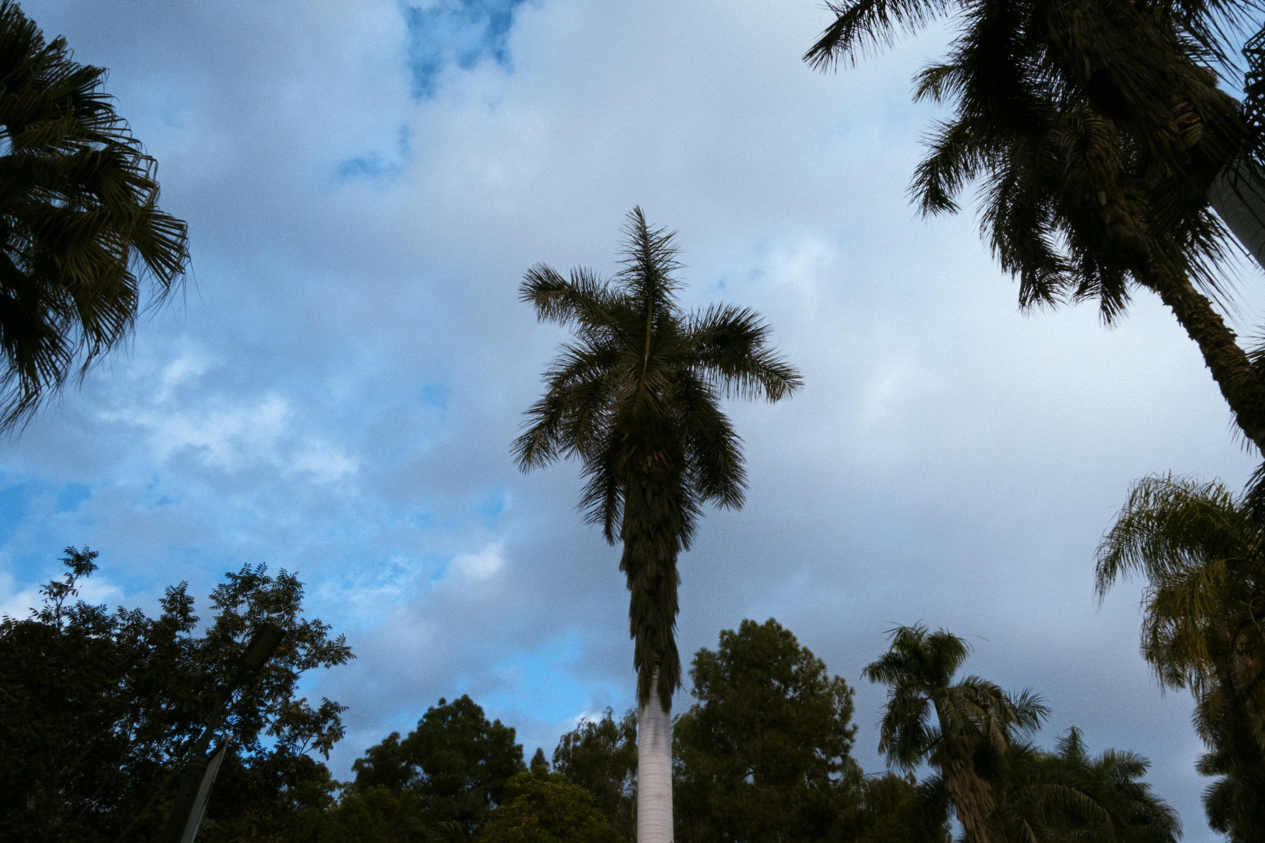 Cairo / Egypt AW25. Фотограф Юрин Евгений