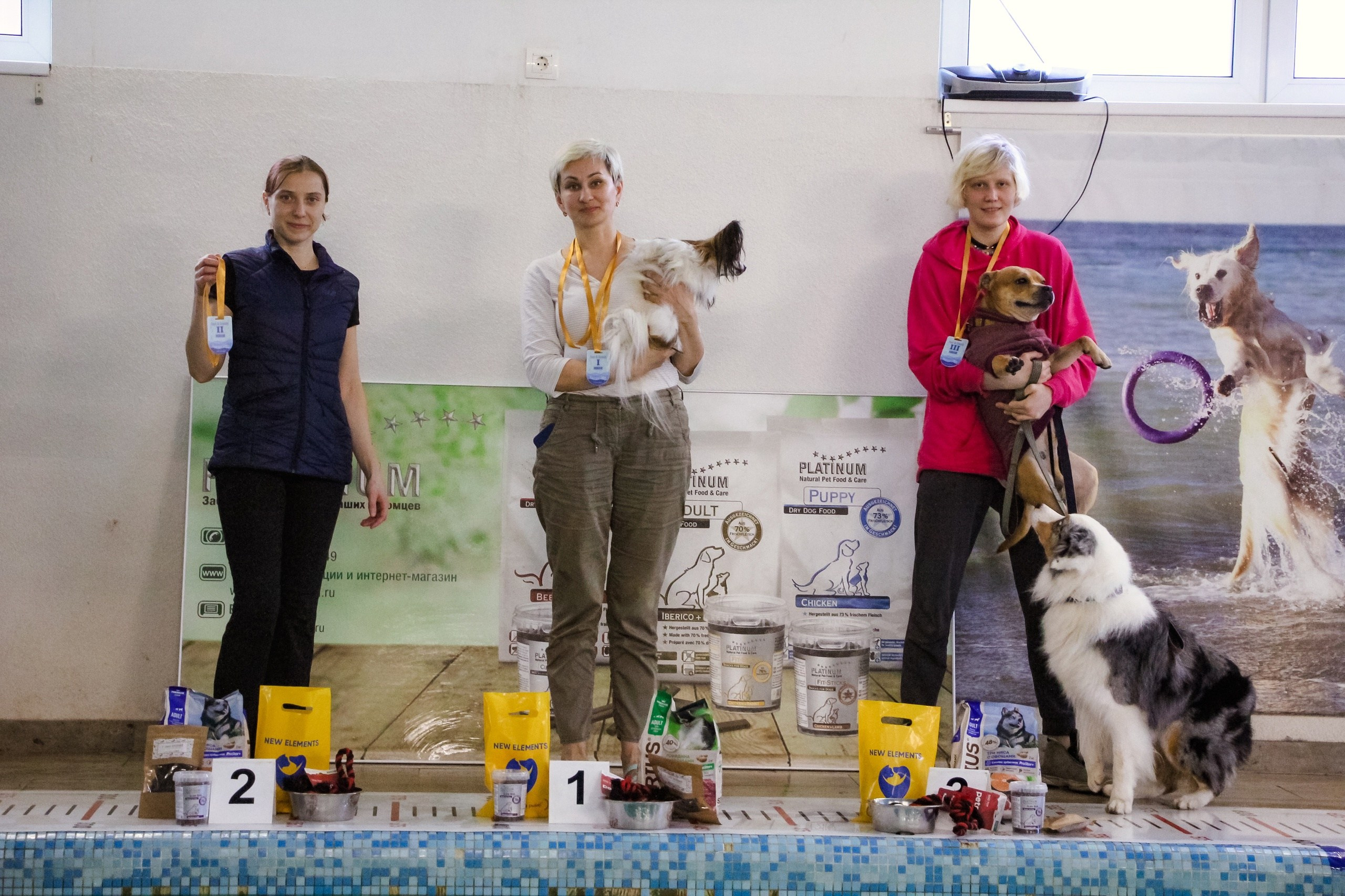 Шмель. BLGKV питомник собак