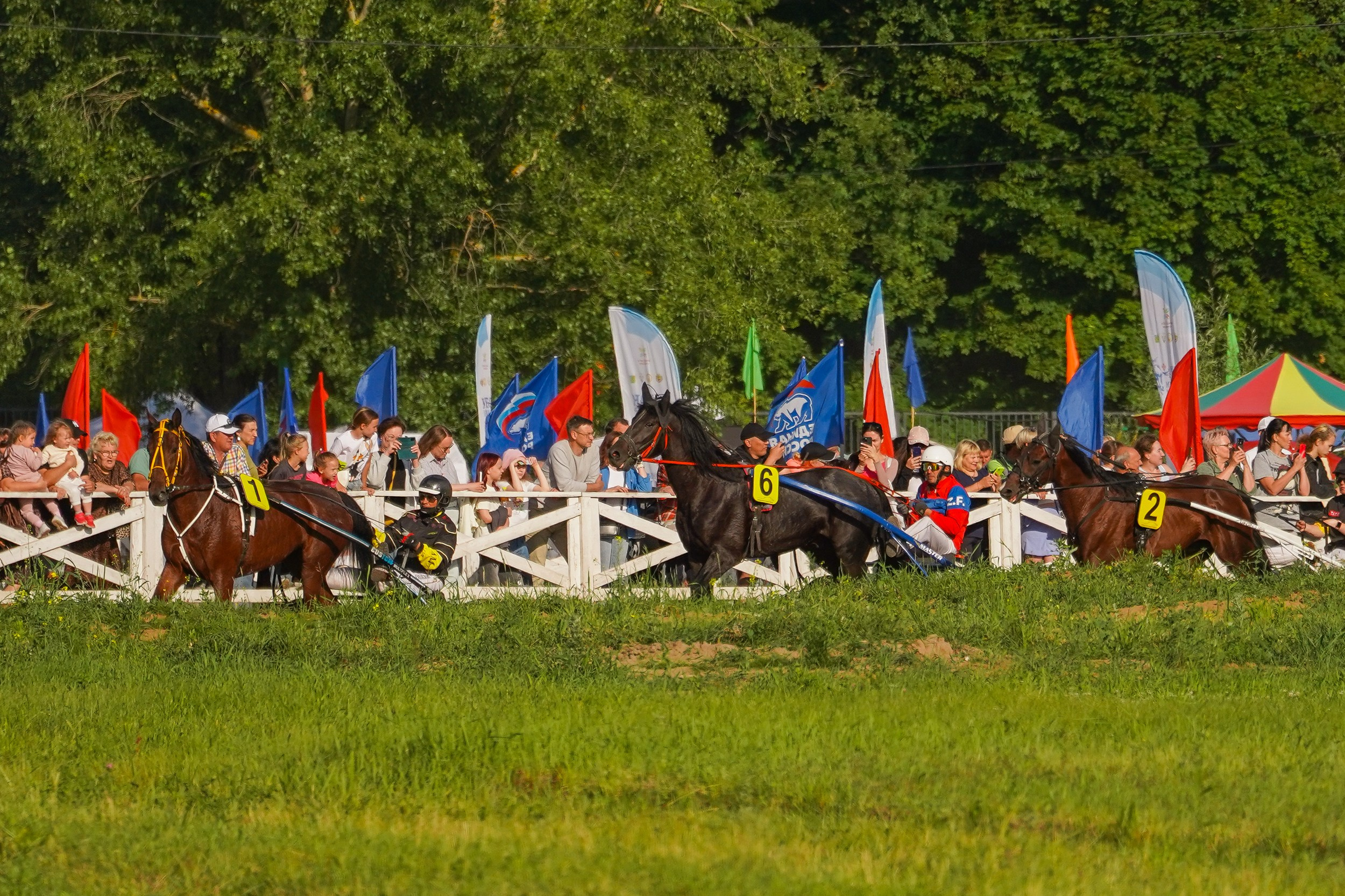 III конные бега на Кубок Главы Чувашии. Фотограф-анималист, портретный фотограф в Чебоксарах Мария Садыкова
