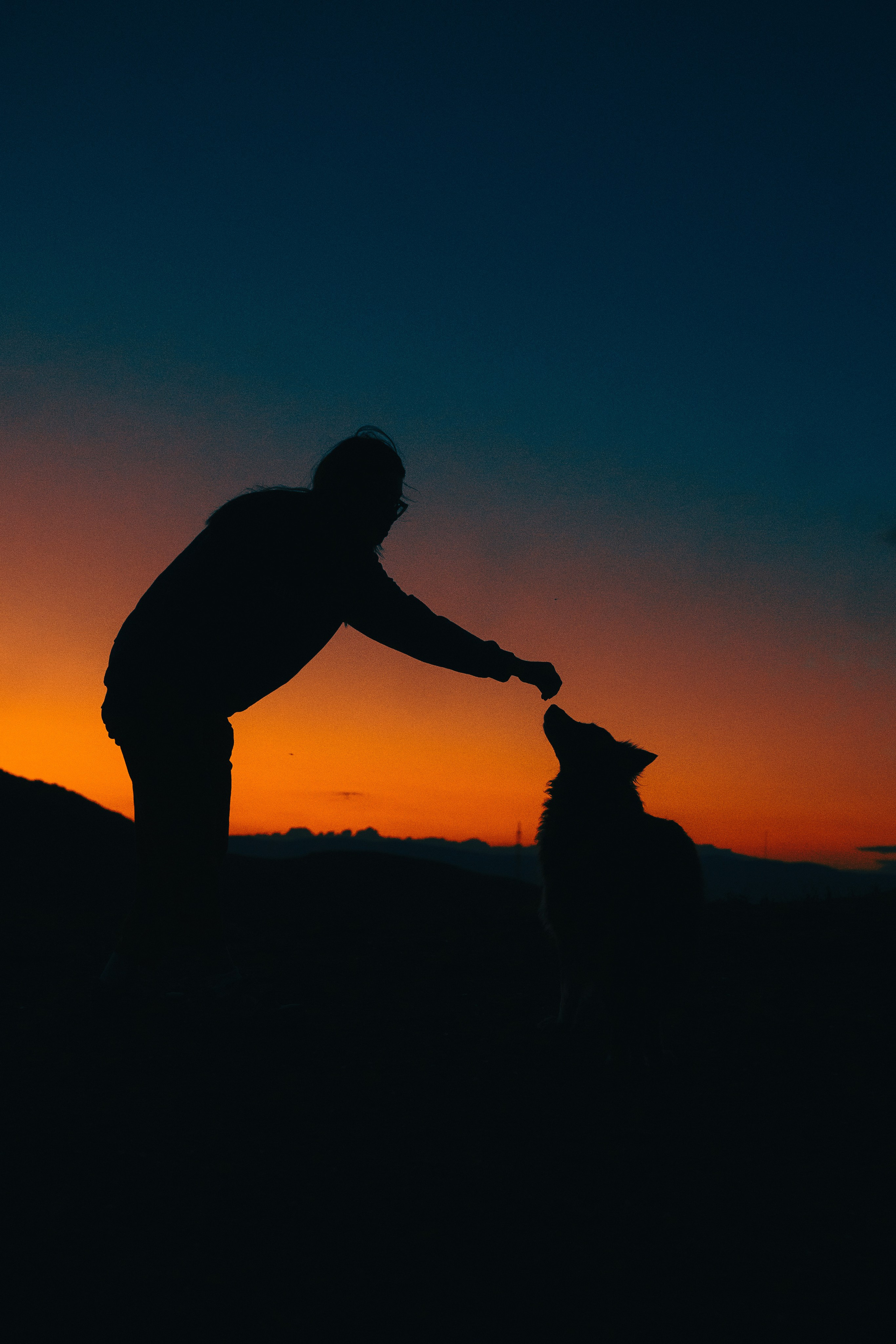 Настя и Умка. Фотограф анималист в Спб недорого Олеся Майорова