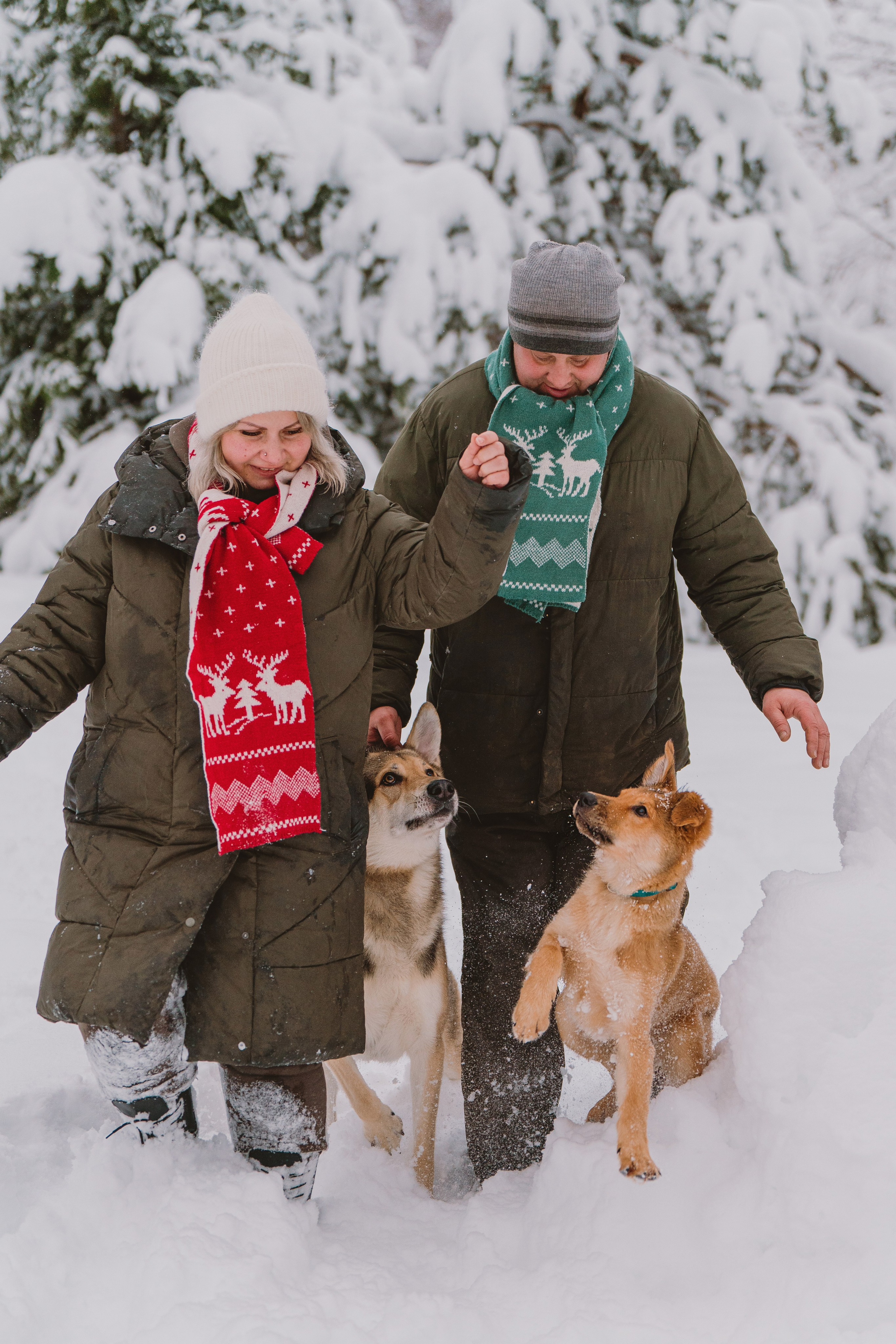Фотосессия с питомцами на природе. Фотограф анималист в Спб недорого Олеся Майорова