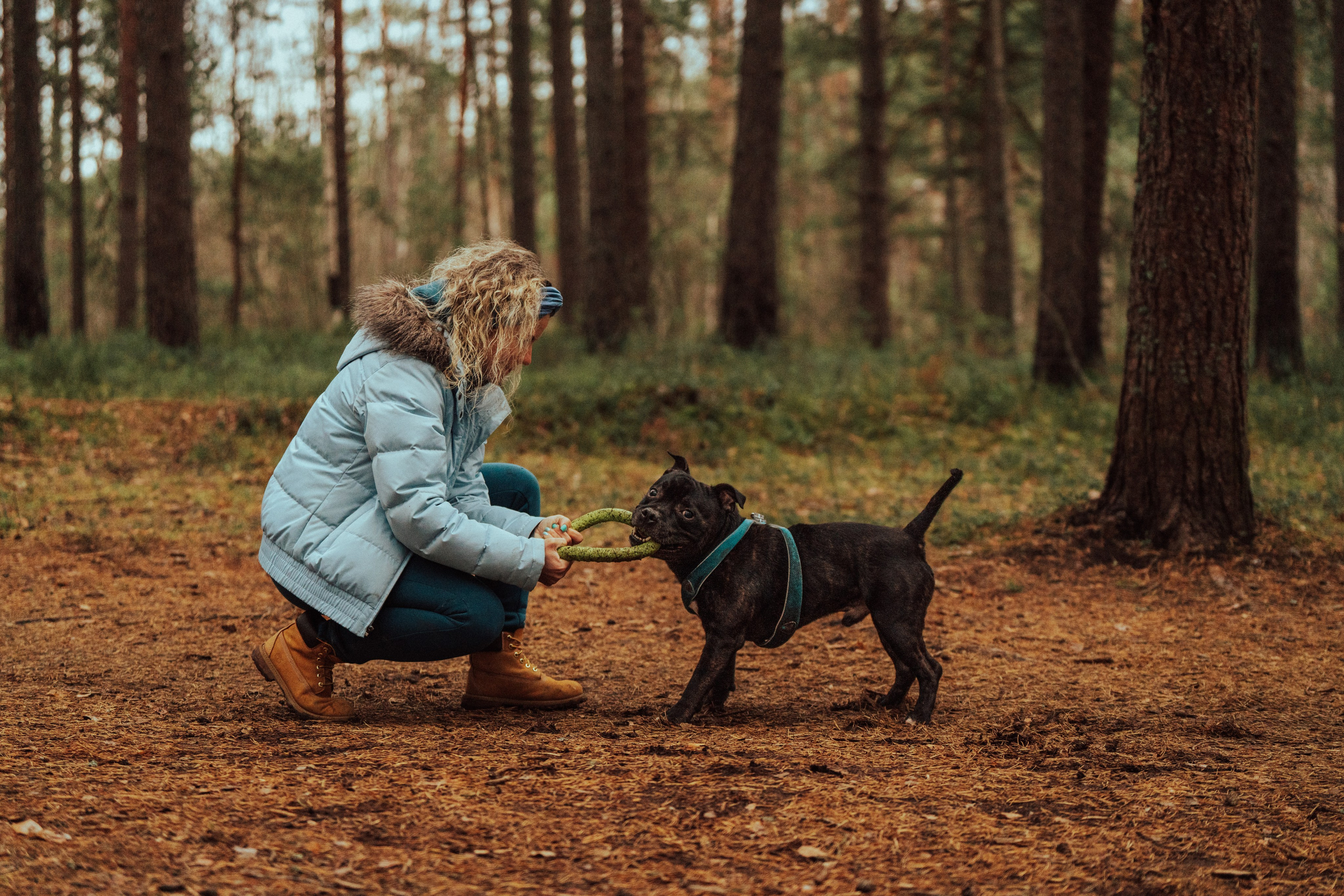 Фотограф анималист в Санкт-Петербурге. Фотограф анималист в Спб недорого Олеся Майорова