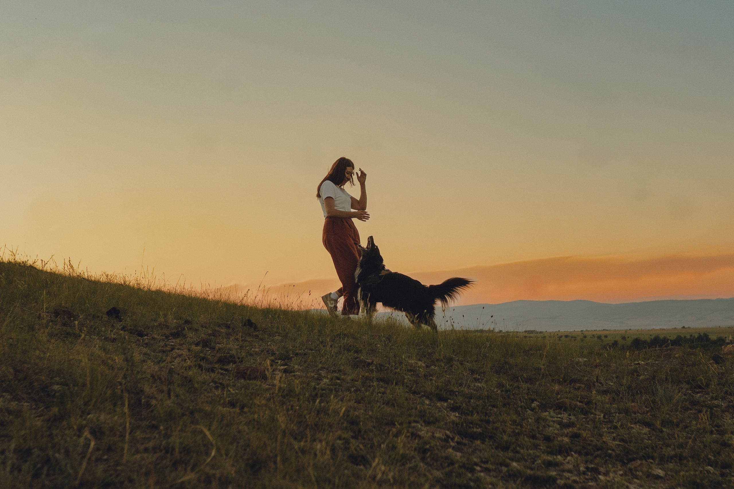 Настя и Умка. Фотограф анималист в Спб недорого Олеся Майорова