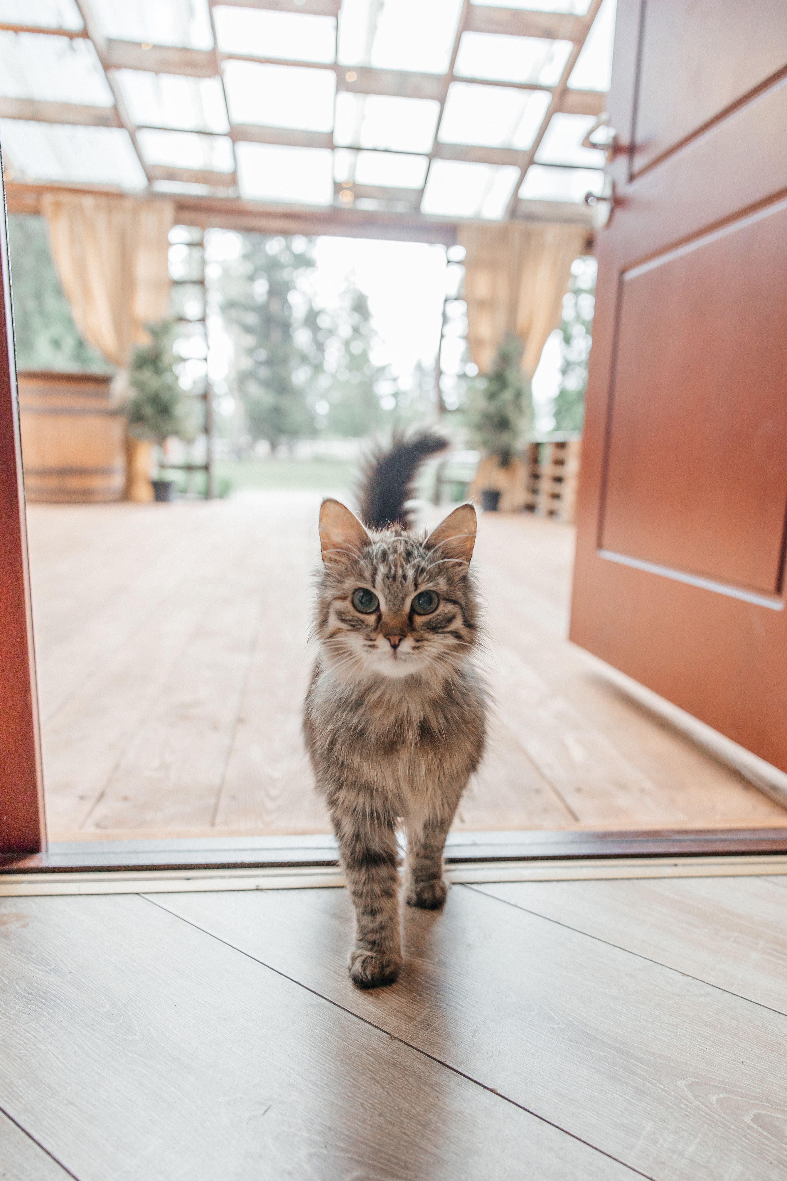 Свадьба в Кудиново. Конюшня. Репортажный и студийный фотограф в Москве — Софи