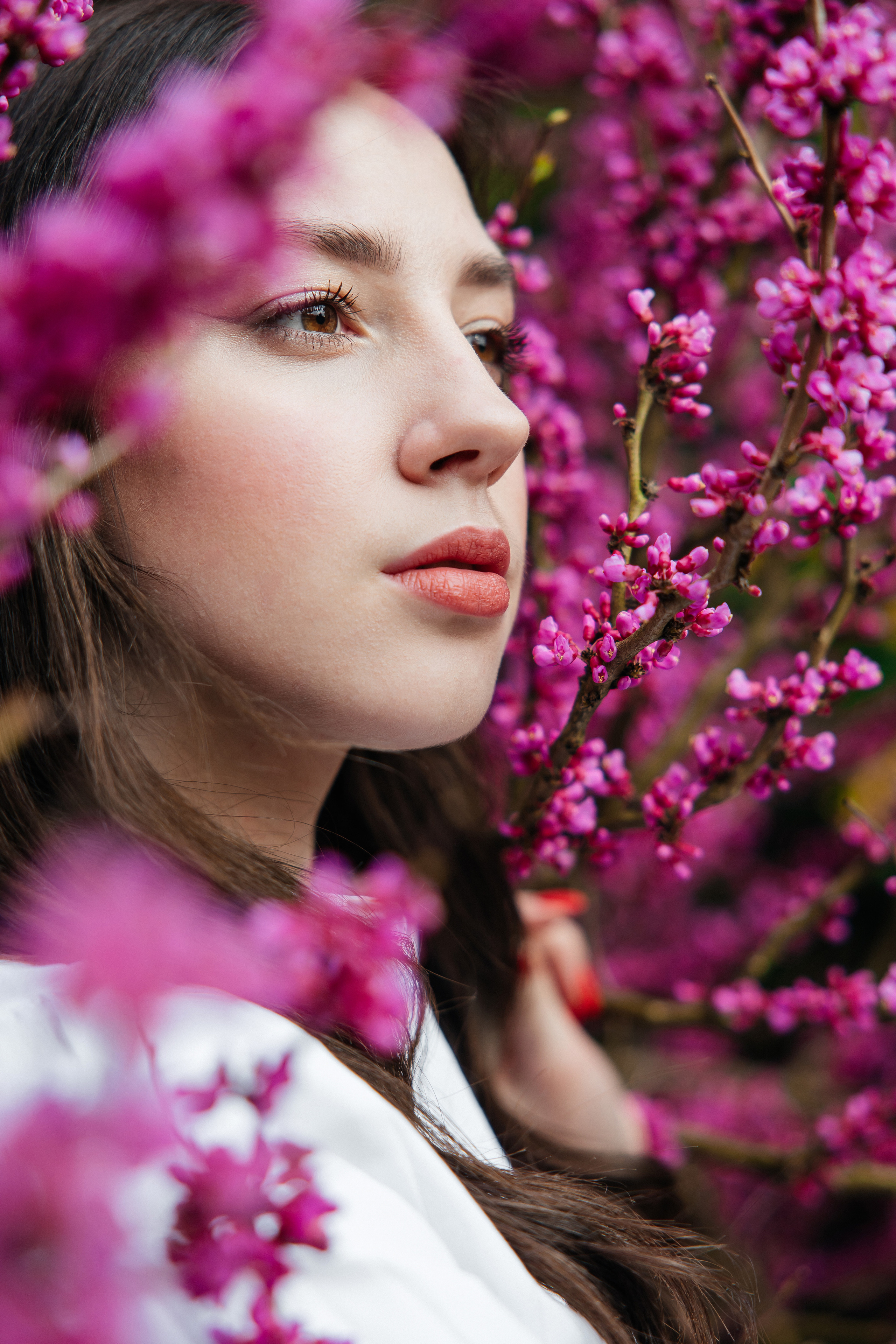 В цветении. Репортажный и студийный фотограф в Москве — Софи
