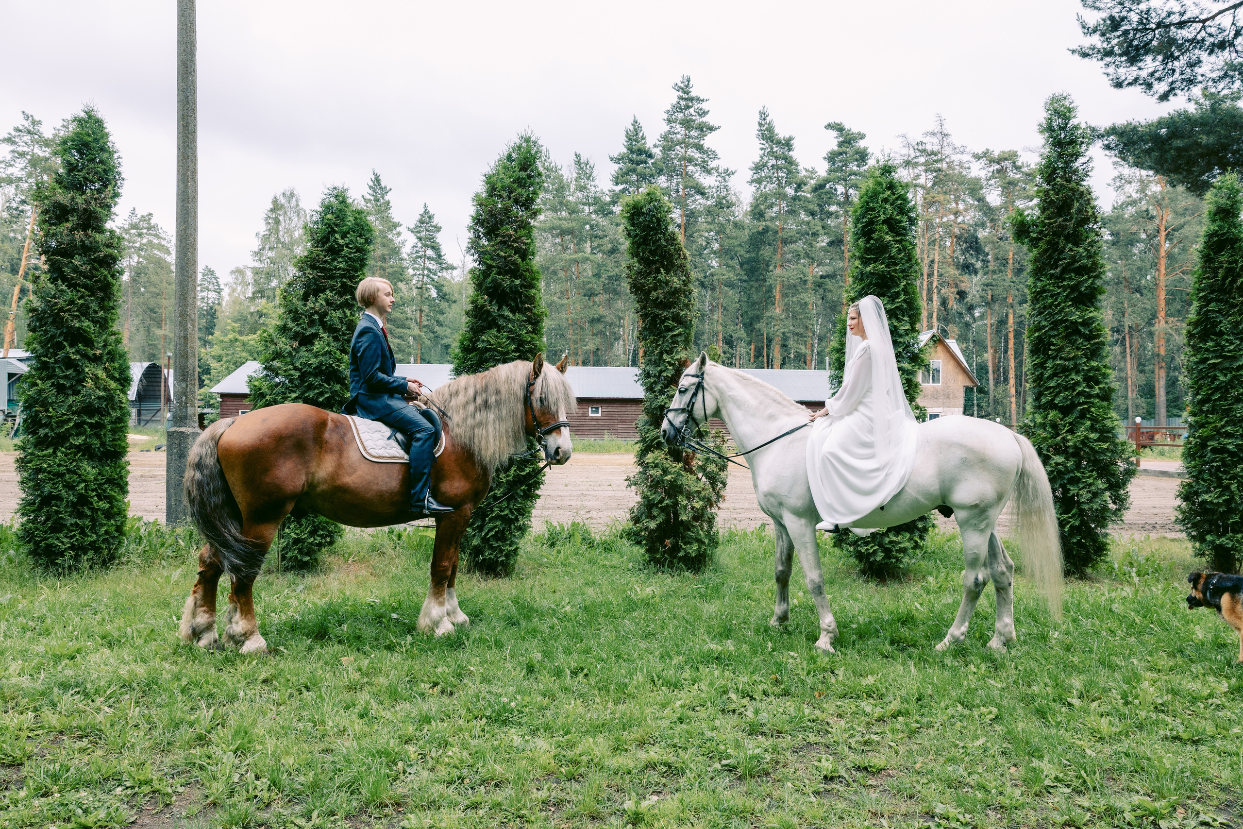 Свадьба в Кудиново. Конюшня. Репортажный и студийный фотограф в Москве — Софи