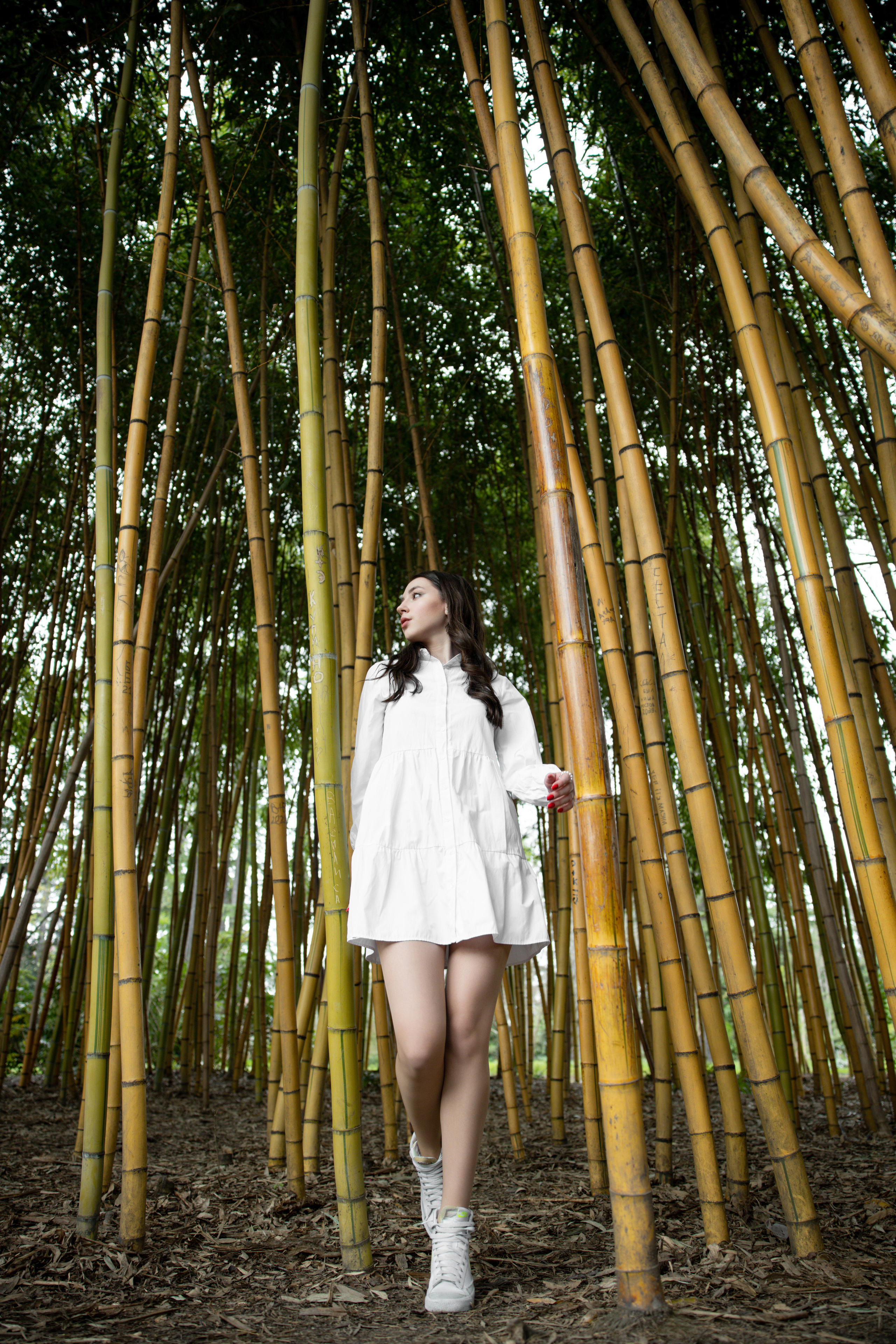 В цветении. Репортажный и студийный фотограф в Москве — Софи