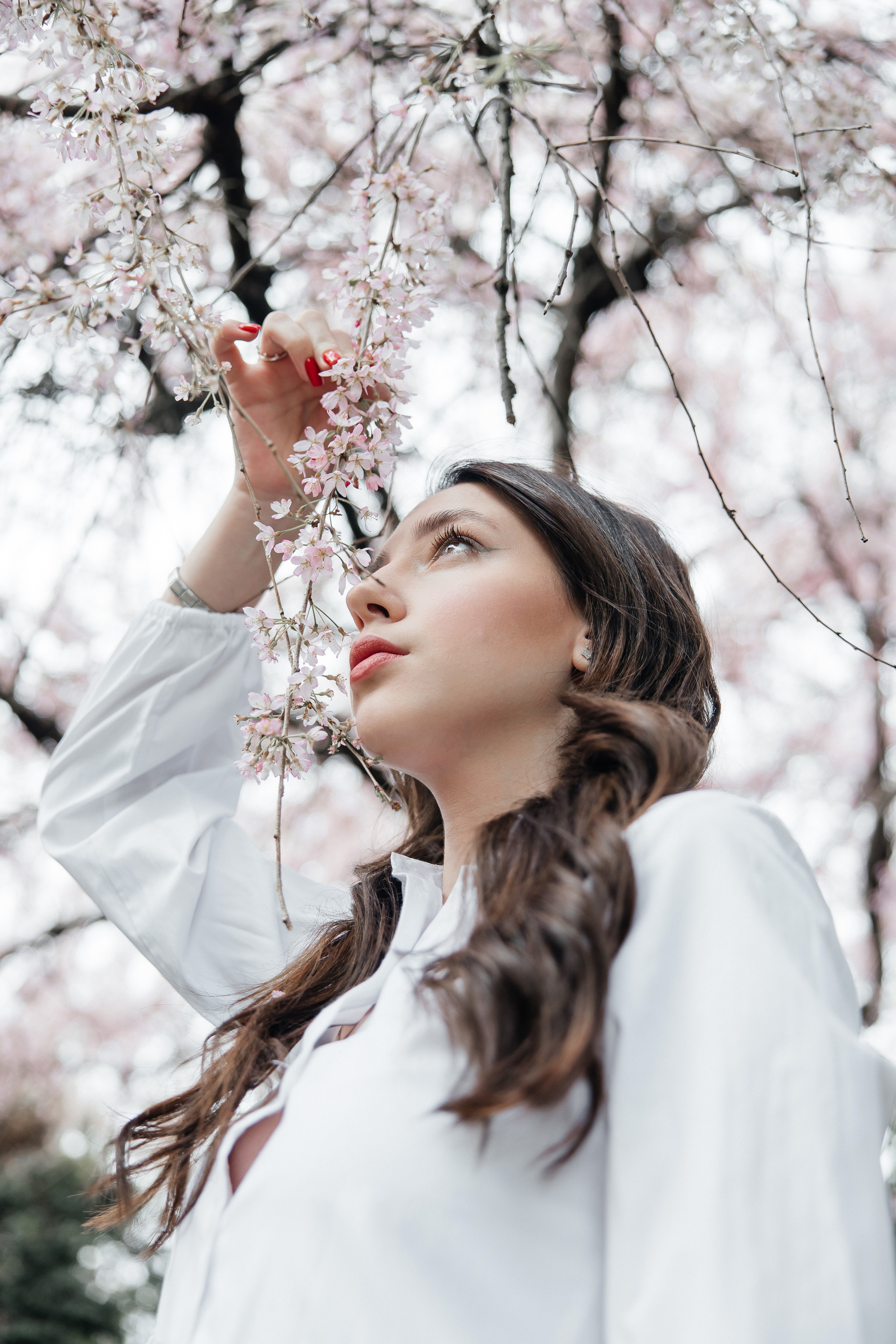 В цветении. Репортажный и студийный фотограф в Москве — Софи