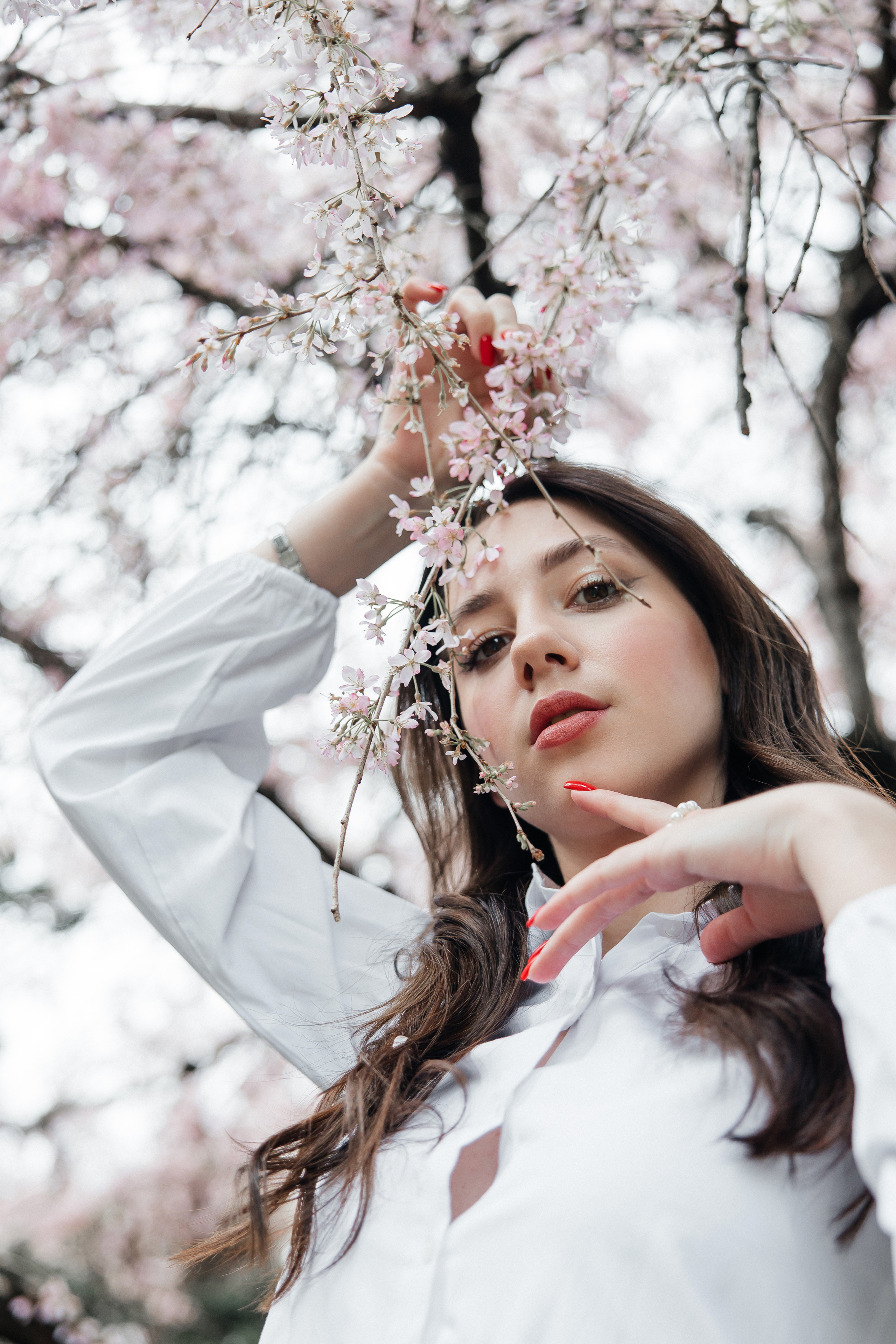 В цветении. Репортажный и студийный фотограф в Москве — Софи