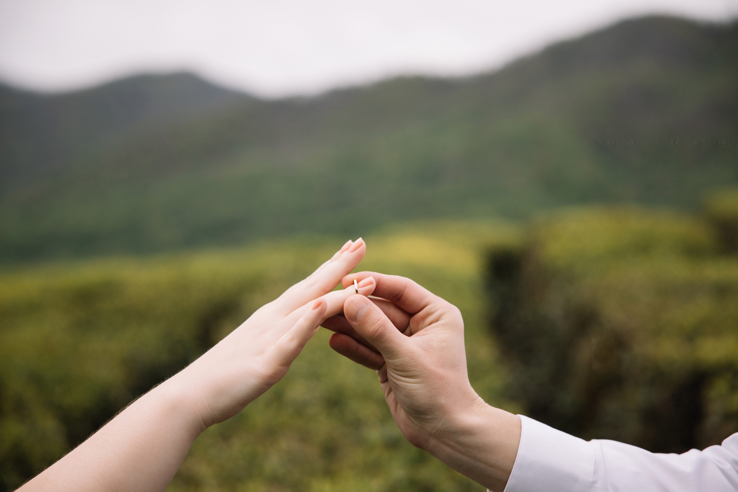 Свадьба в Сочи. Репортажный и студийный фотограф в Москве — Софи